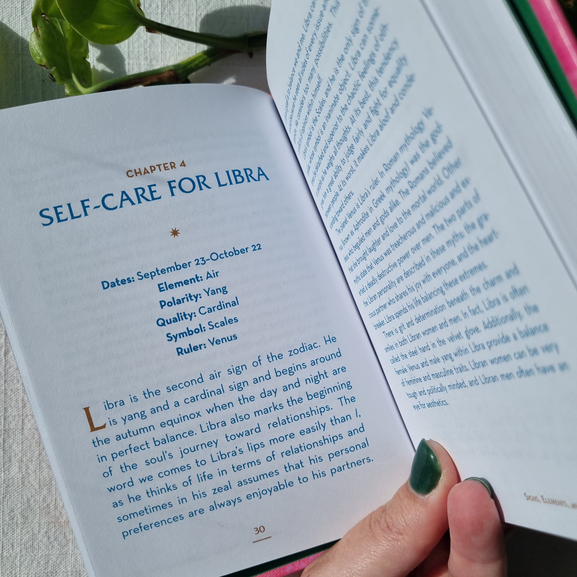 The Little Book of Self-Care for Libra - Constance Stellas - Sparrow and Fox