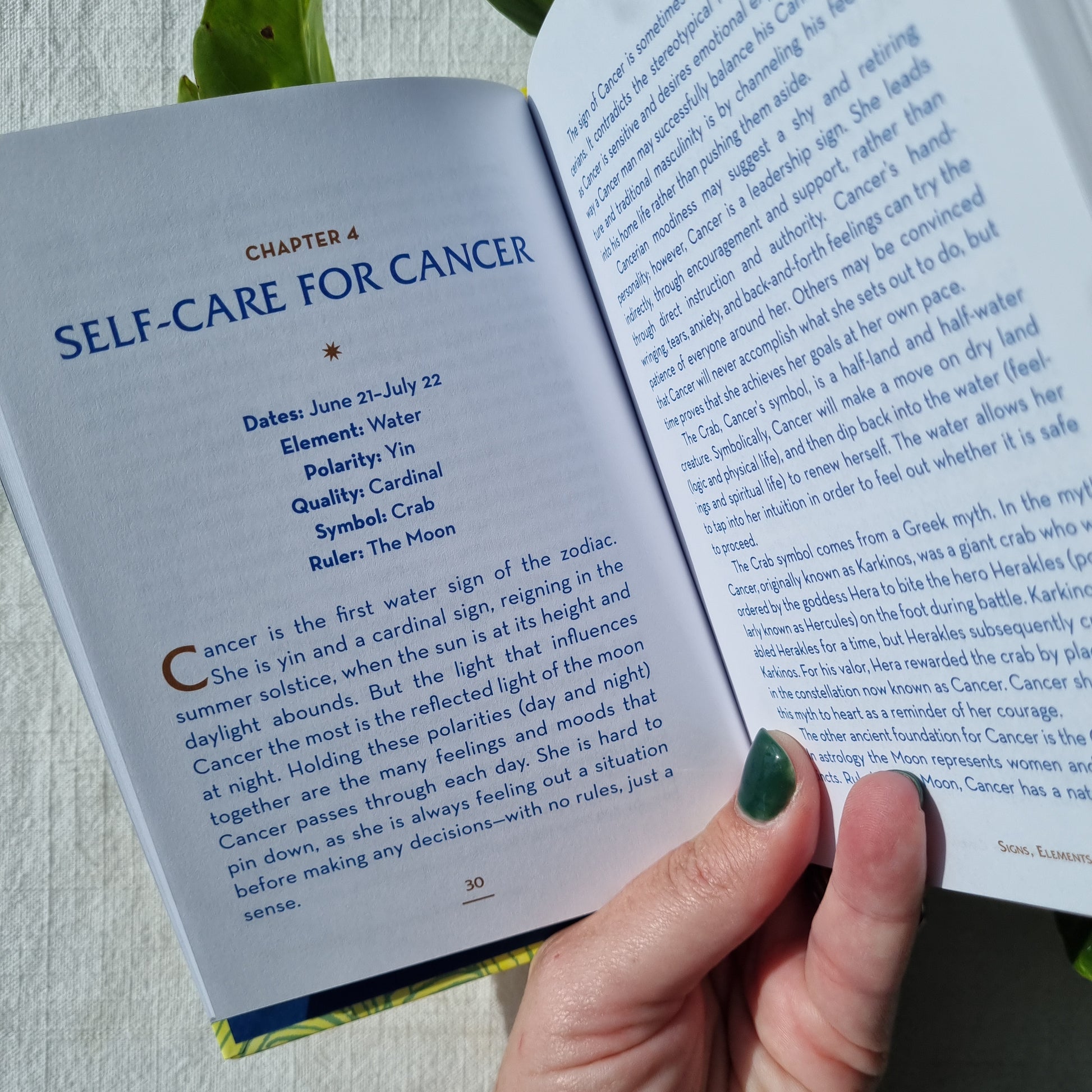 The Little Book of Self-Care for Cancer - Constance Stellas - Sparrow and Fox