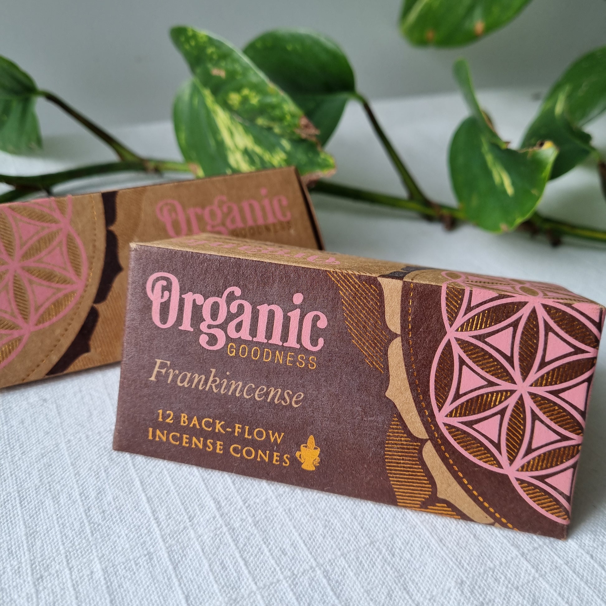 Frankincense Back-Flow Incense Cones- Organic Goodness Masala Incense - Sparrow and Fox