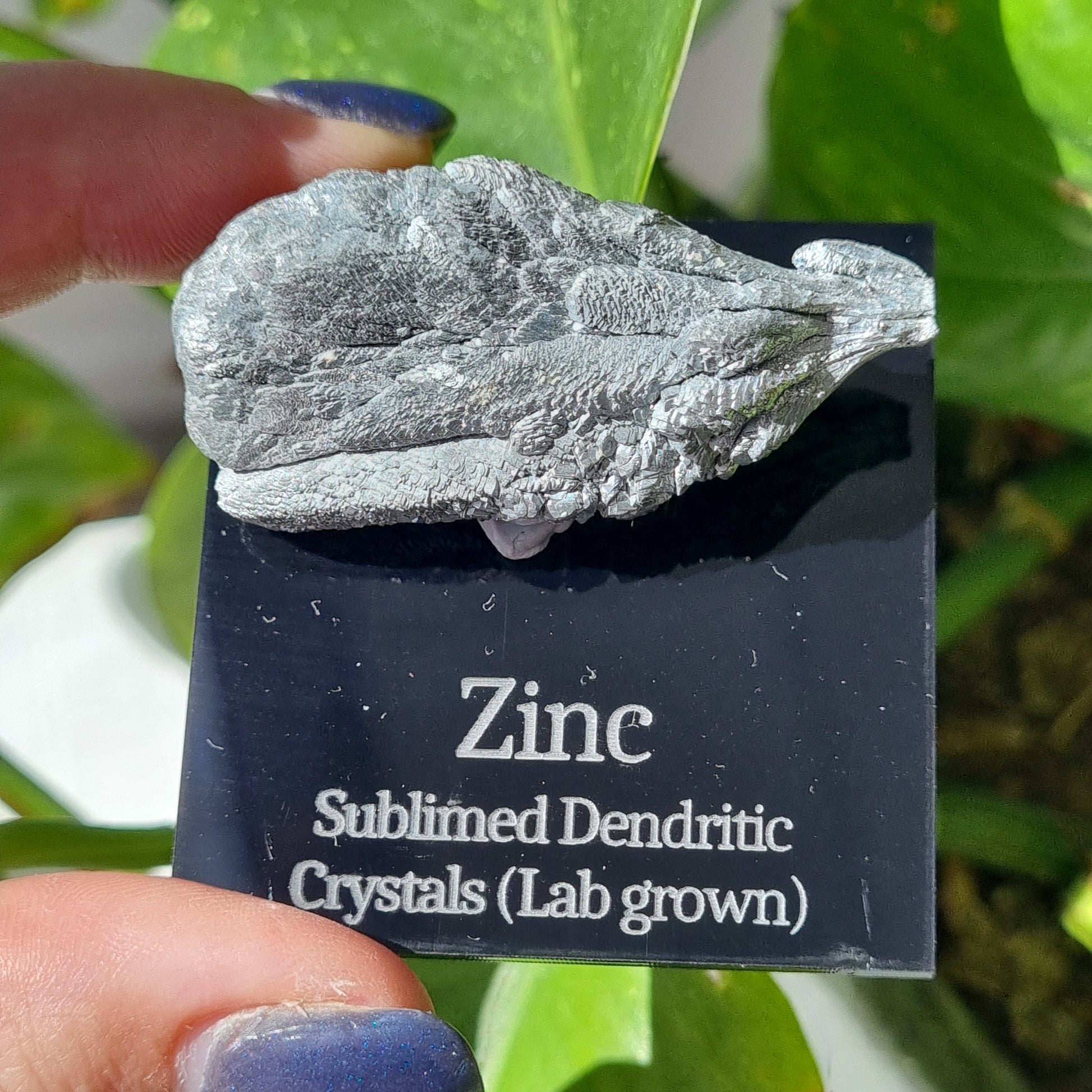 Sublimed Dendritic Zinc Crystals - 39.94g - Sparrow and Fox