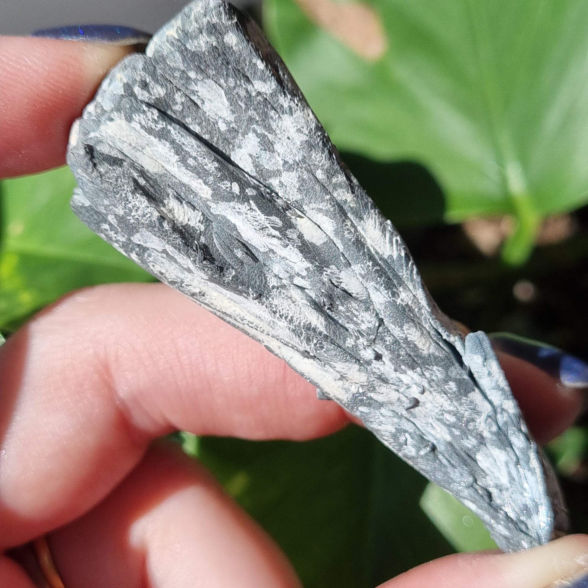 Sublimed Dendritic Zinc Crystals - 54.10g - Sparrow and Fox
