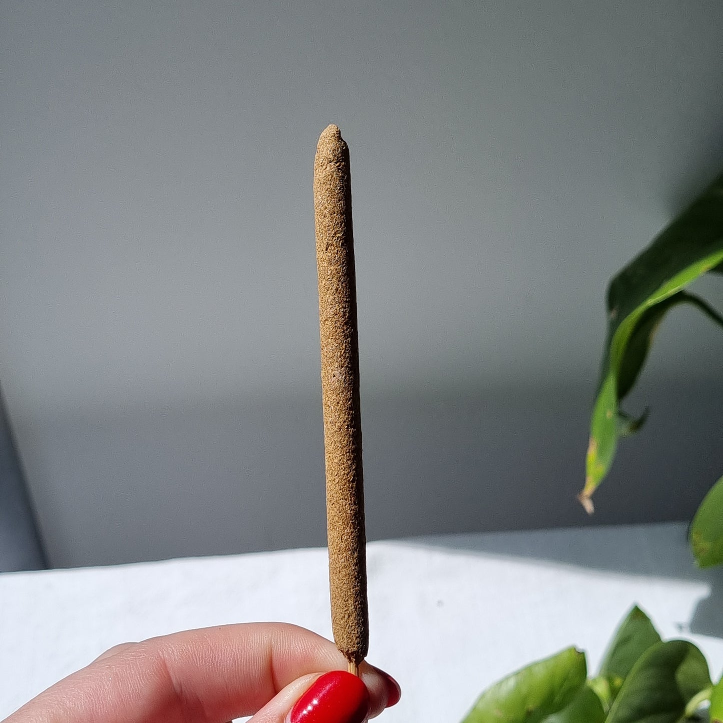 Clove & Palo Santo Mini Incense Sticks - 6 Pack - Sparrow and Fox