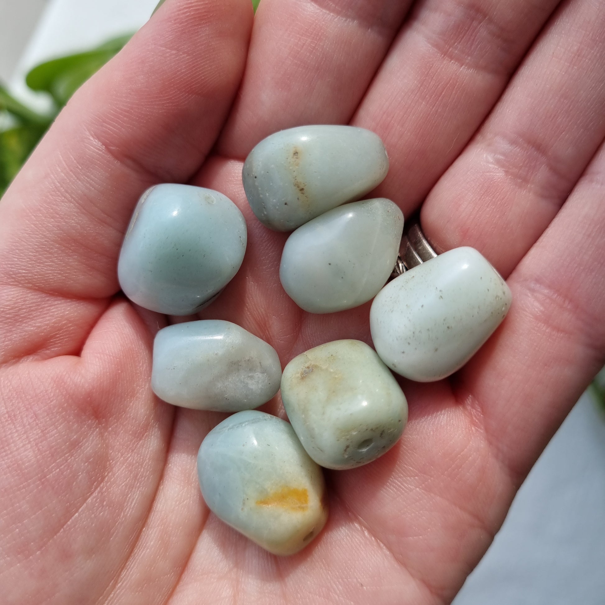 Amazonite Beads - 17-20mm - Sparrow and Fox