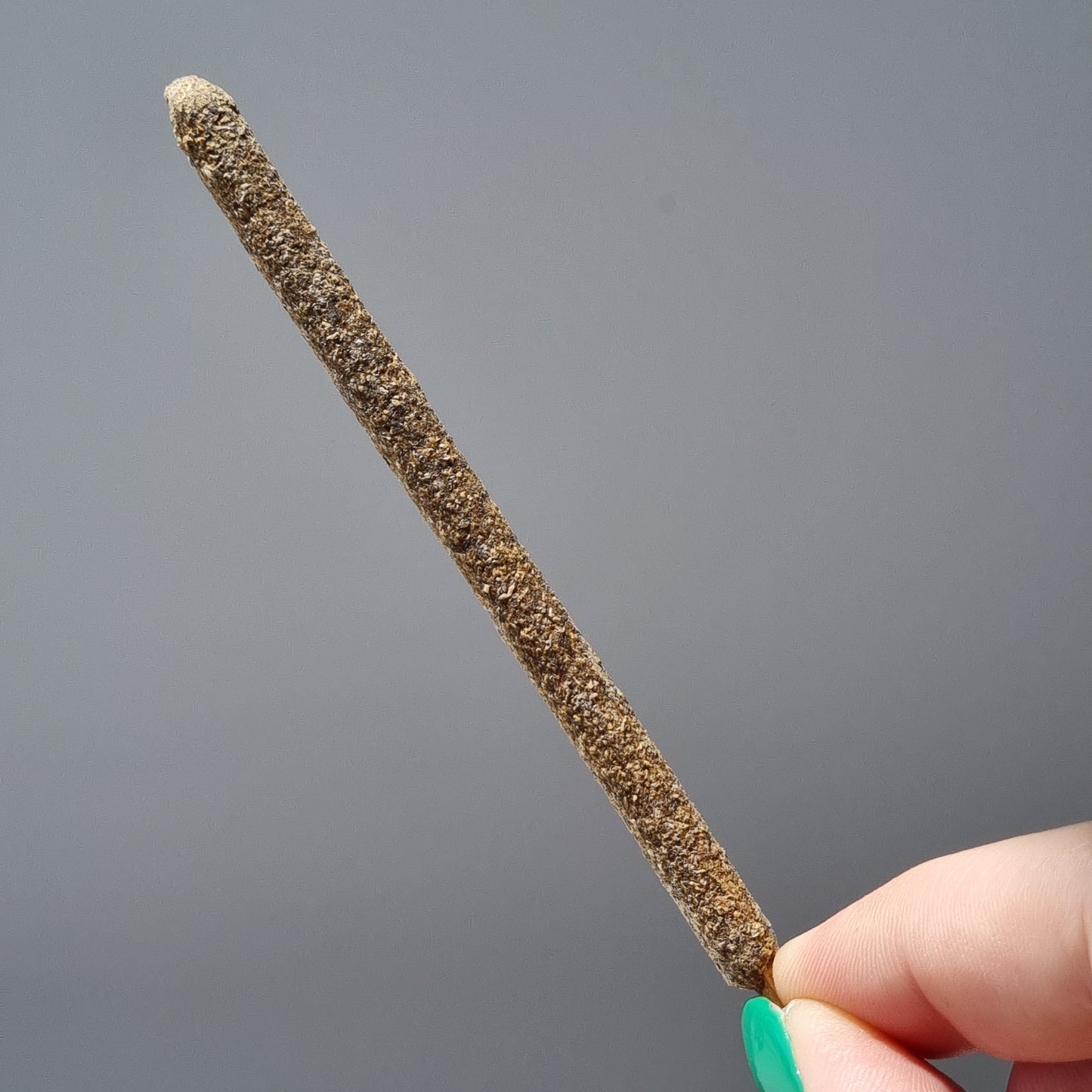 Copal & Palo Santo Mini Incense Sticks - 6 Pack - Sparrow and Fox