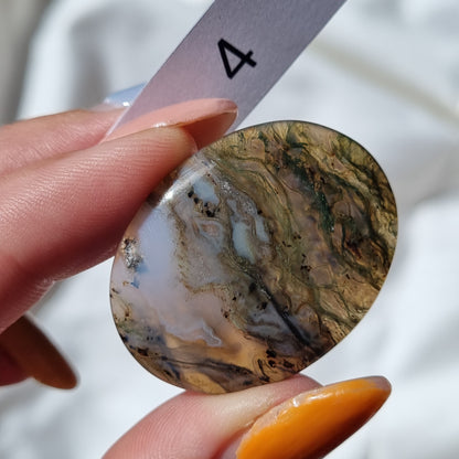 Moss Agate Cabochon - Sparrow and Fox