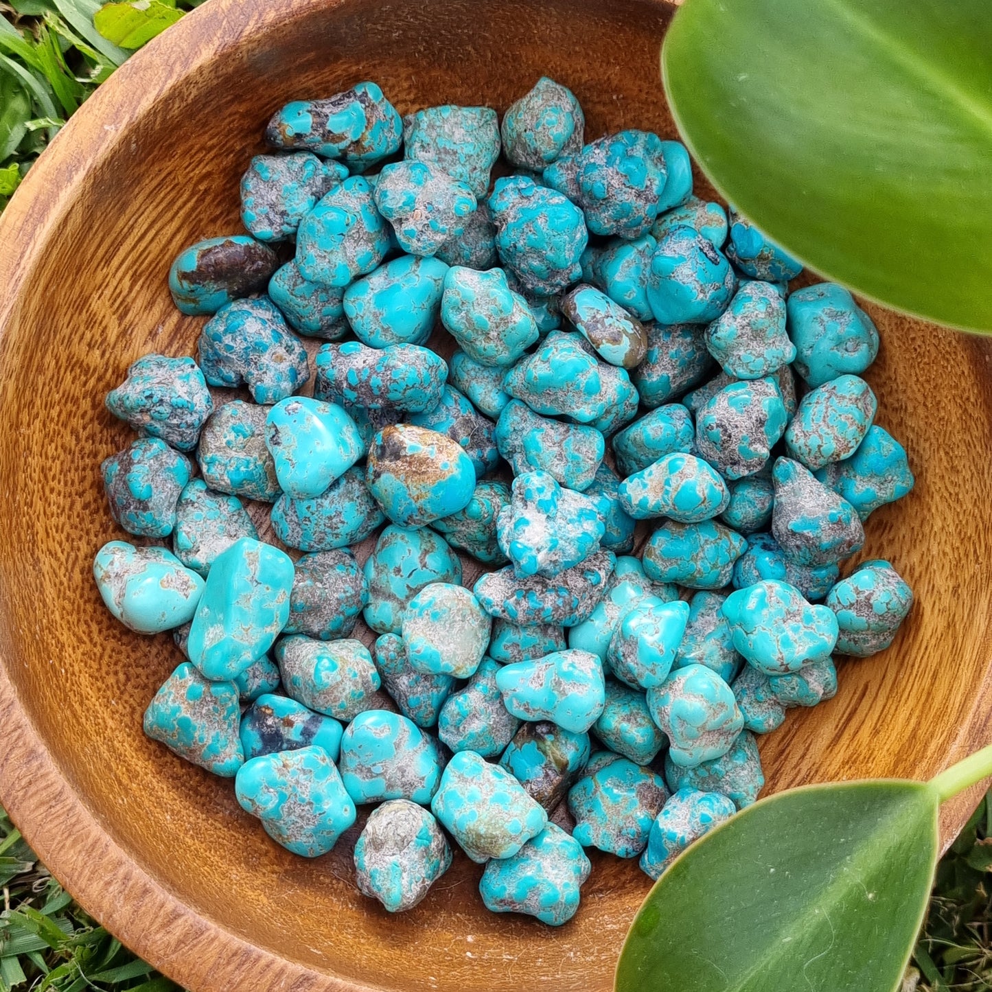 Turquoise Tumble - USA - Sparrow and Fox