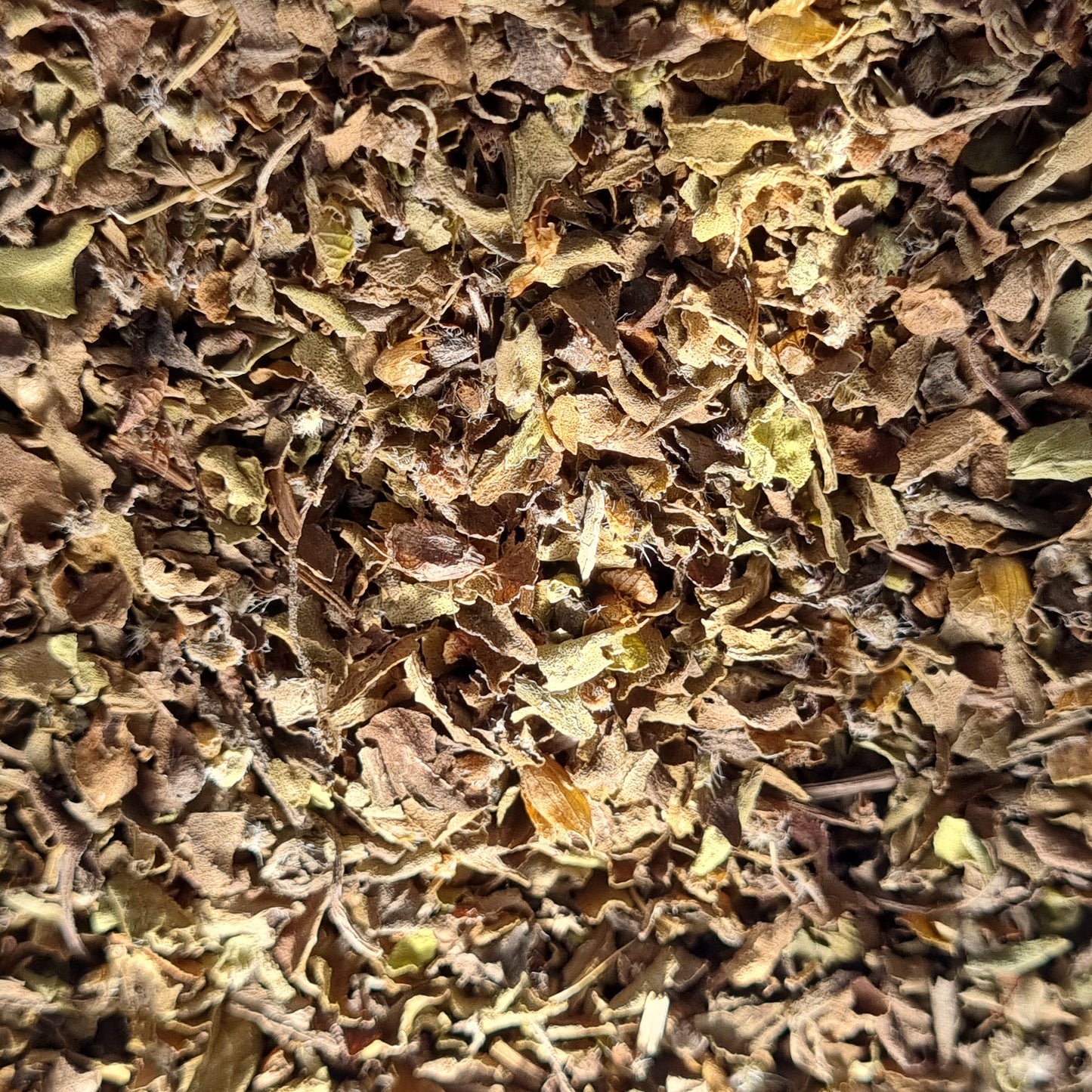 Tulsi (Vana) / Holy Basil - Cerified Organic - Sparrow and Fox
