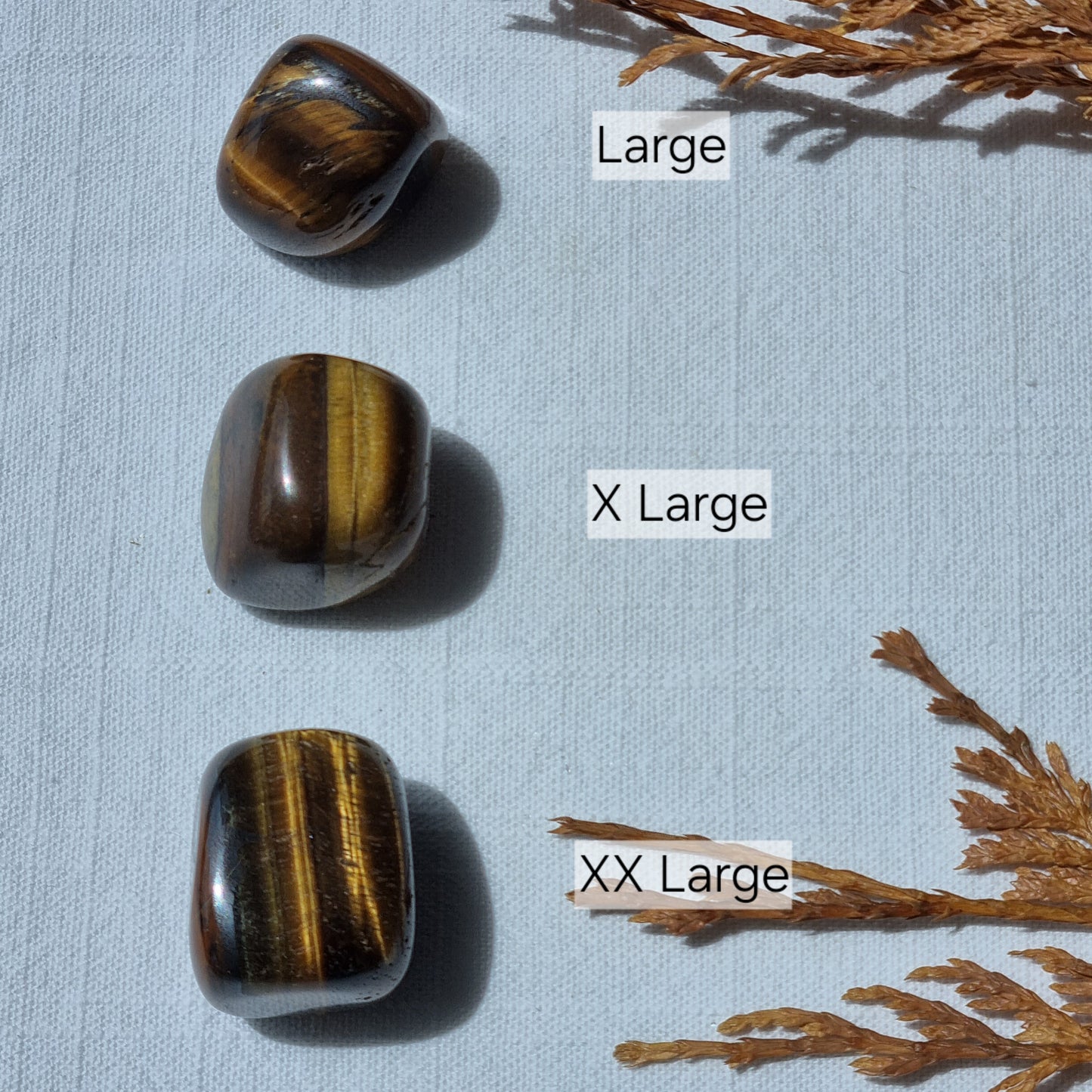 Tigers Eye Tumble - Sparrow and Fox