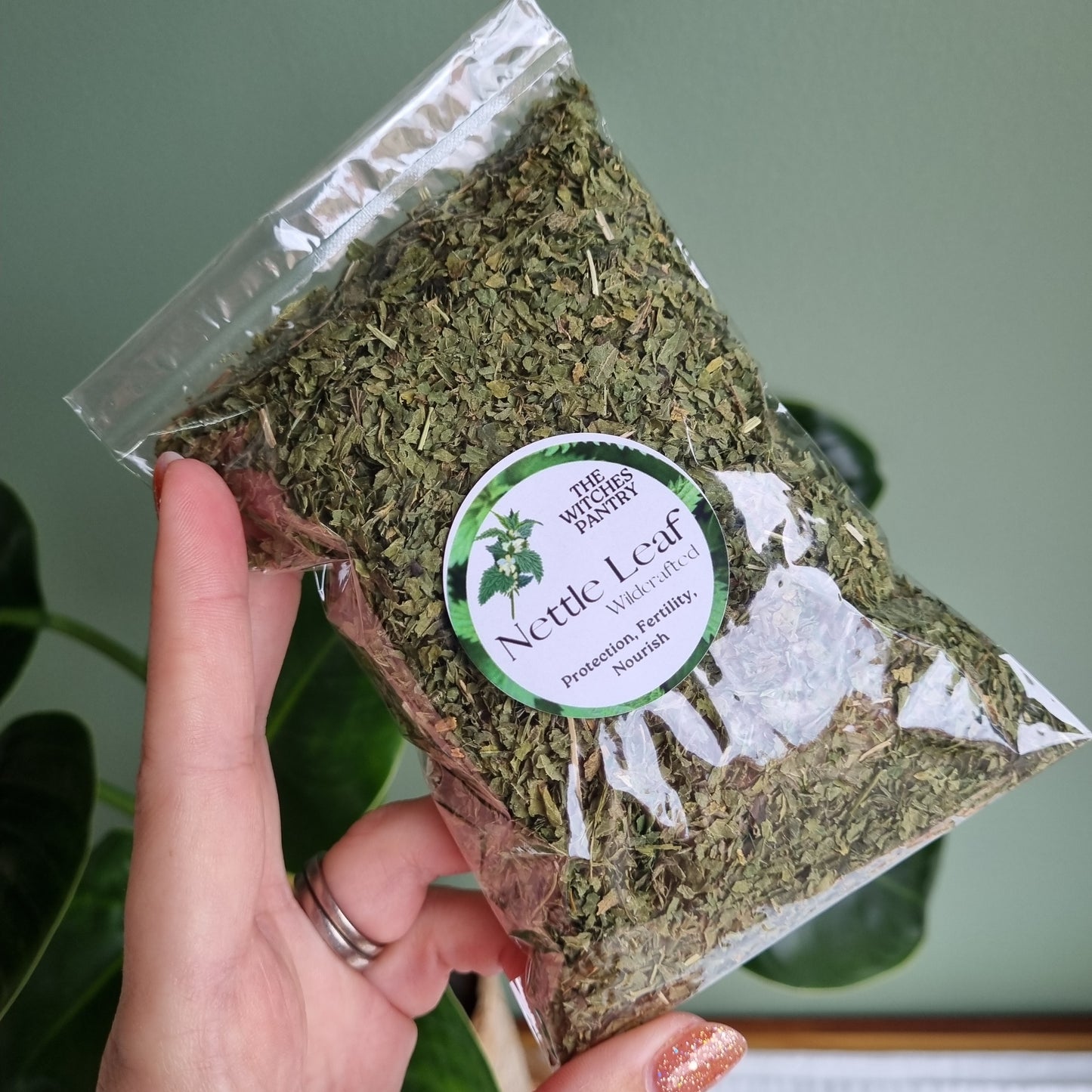 Nettle Leaf - Wildcrafted - Sparrow and Fox