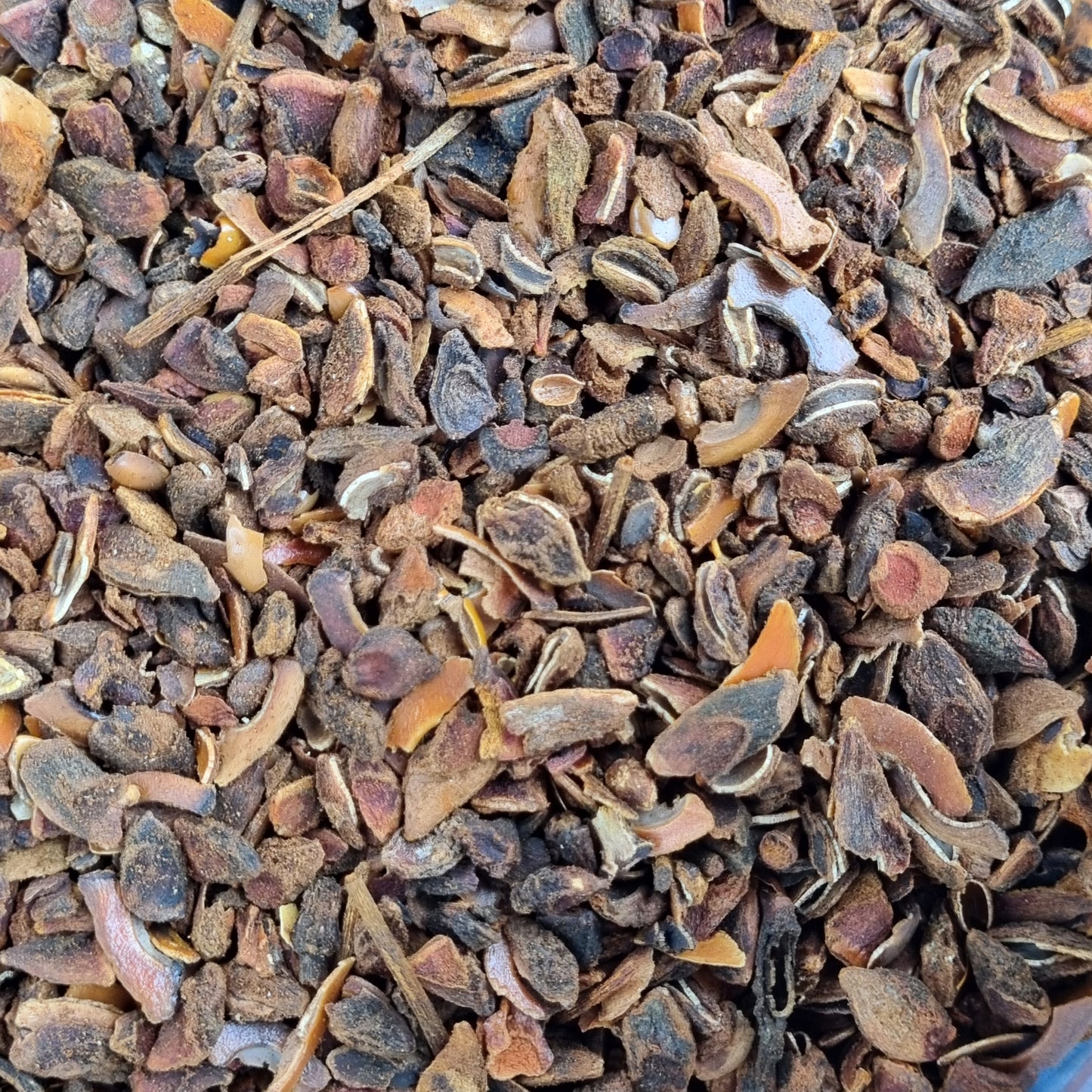 Star Anise Cut - Sparrow and Fox