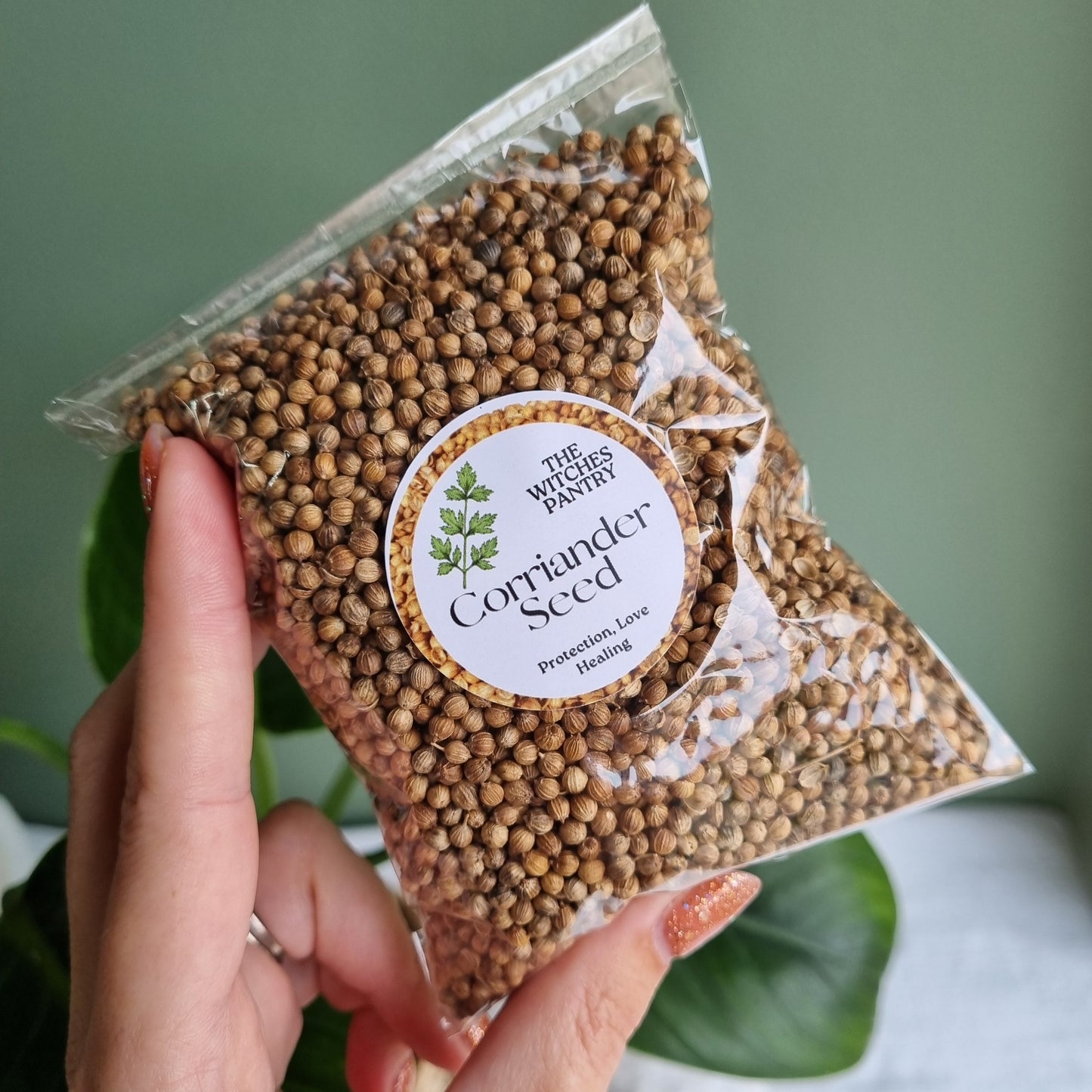 Corriander Seed - Australian - Sparrow and Fox