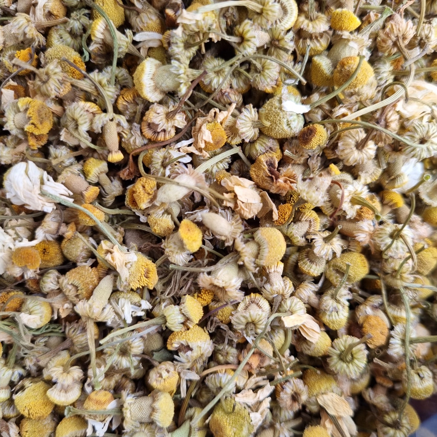 Chamomile Flowers - Sparrow and Fox