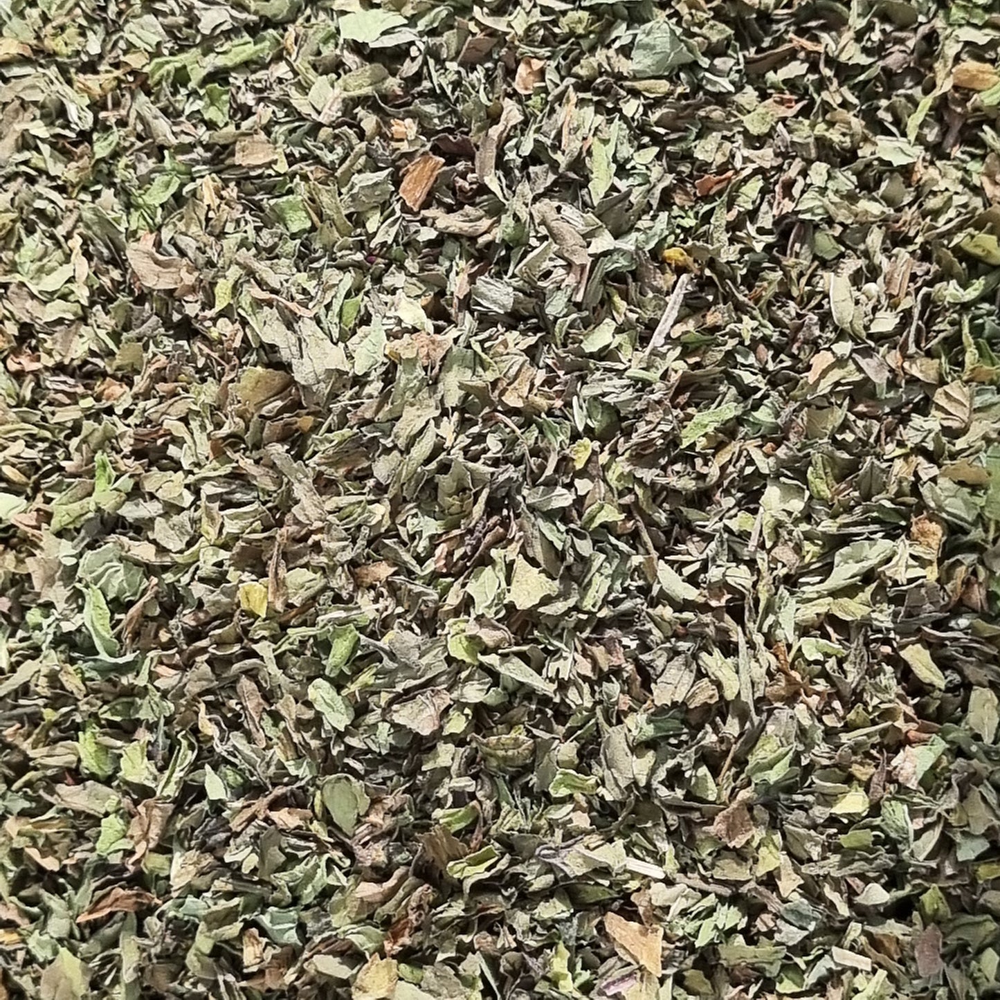 Spearmint - Certified Organic - Sparrow and Fox