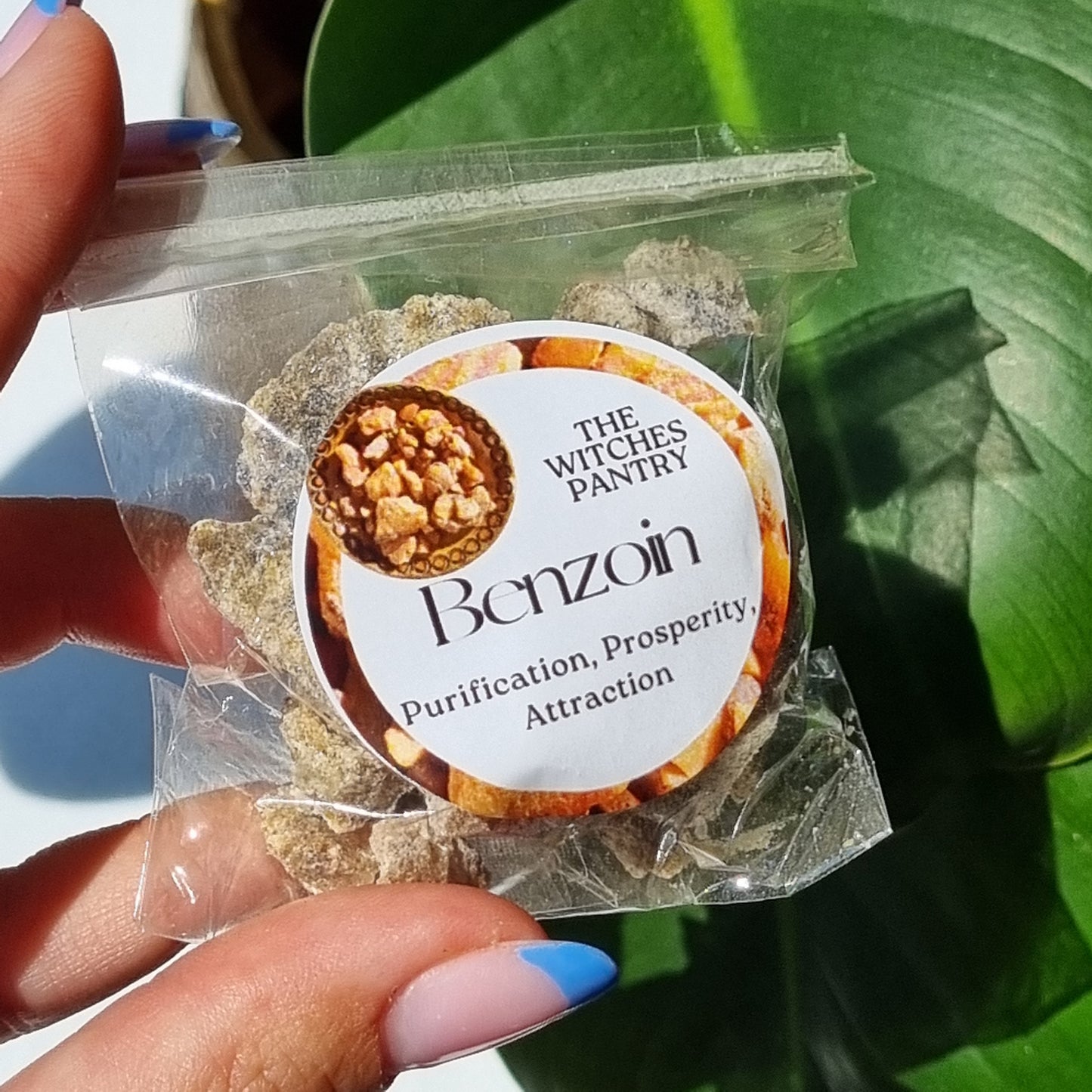 Benzoin Resin - Indonesian - Sparrow and Fox