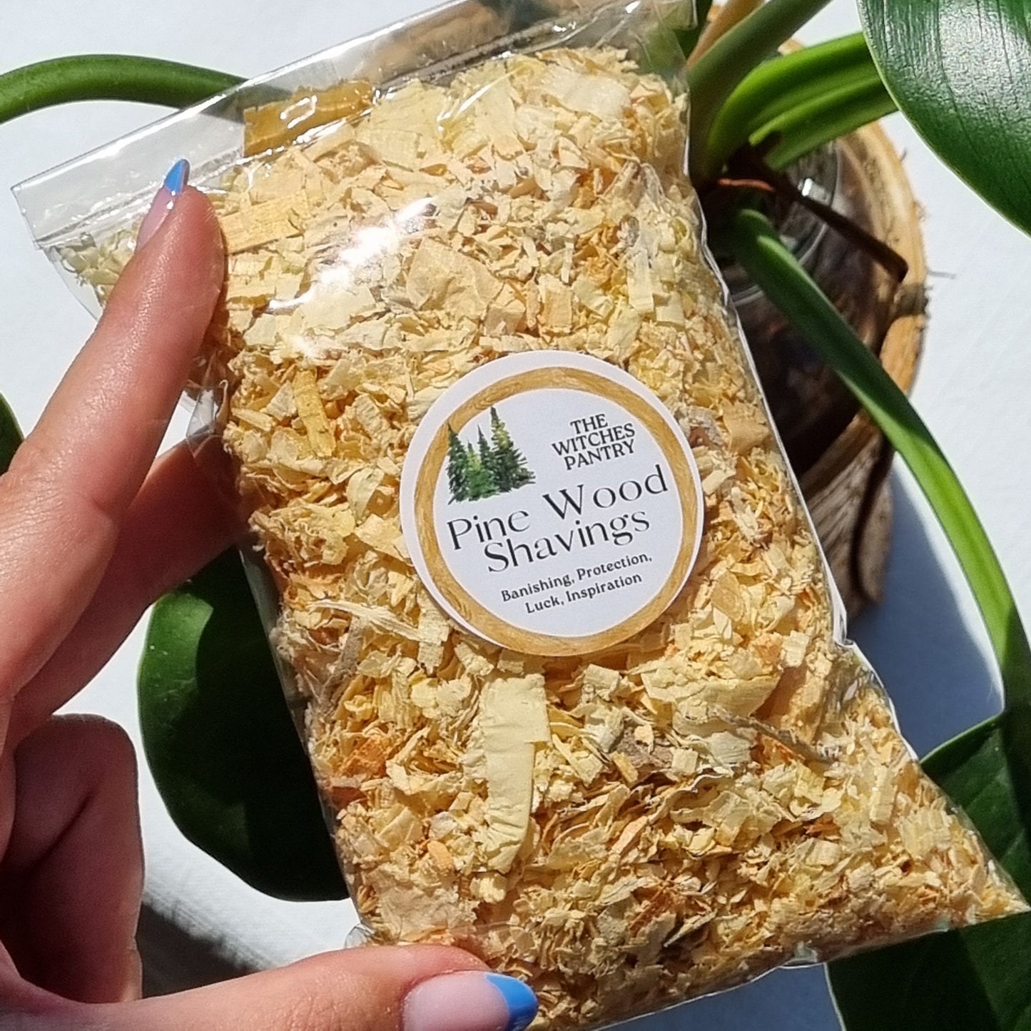 Pine Wood Shavings (Pinion) - Sparrow and Fox