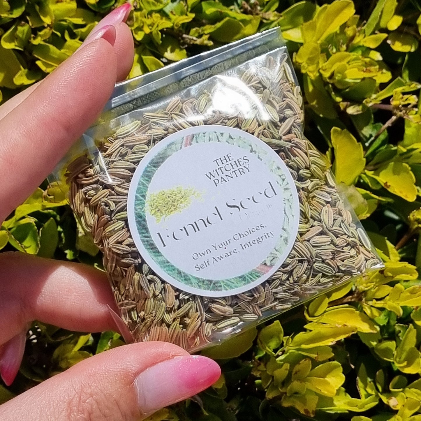 Fennel Seed - Organic - Sparrow and Fox