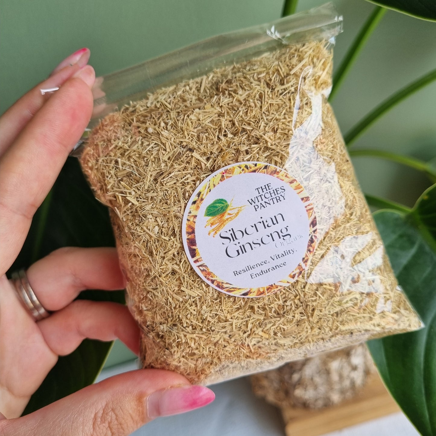 Siberian Ginseng - Organic - Sparrow and Fox