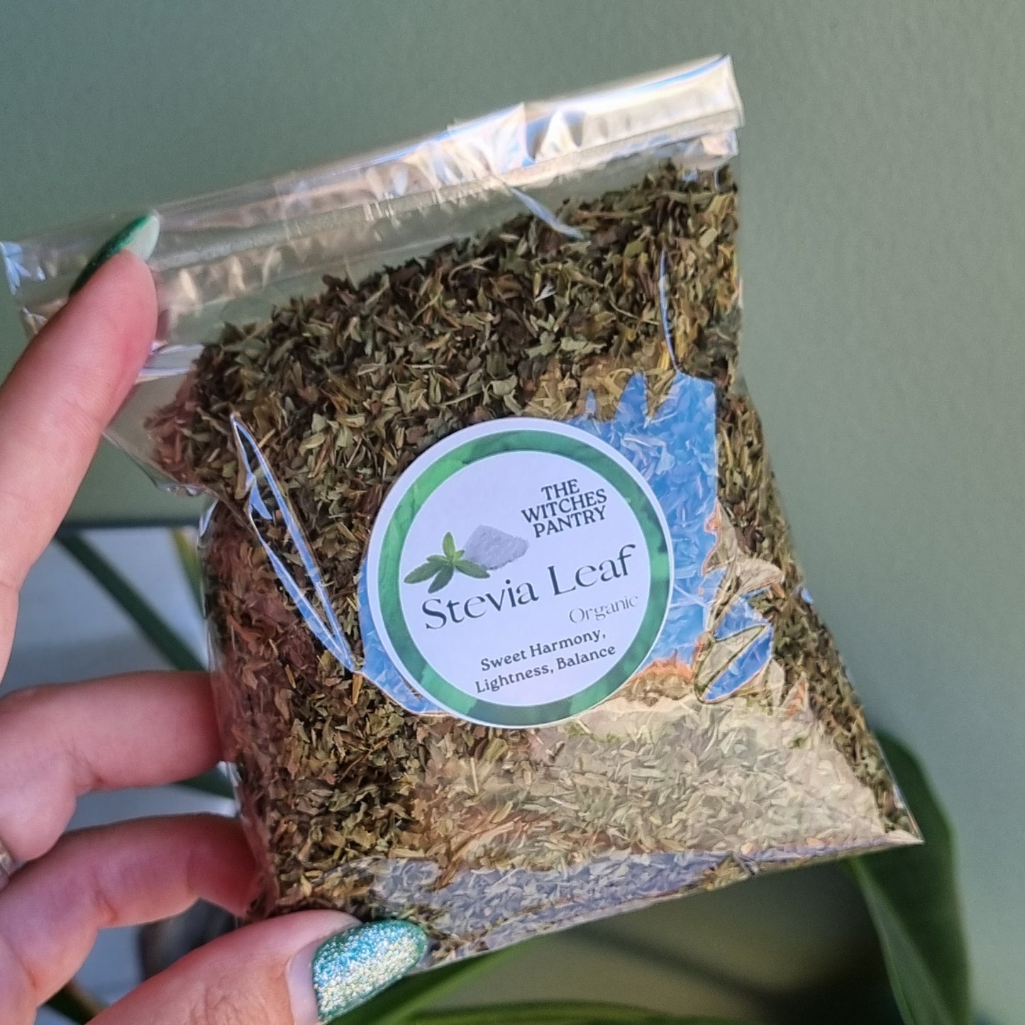 Stevia Leaf - Organic - Sparrow and Fox