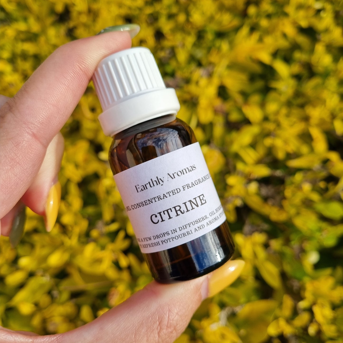 Concentrated Fragrance Oil - Earthly Aromas