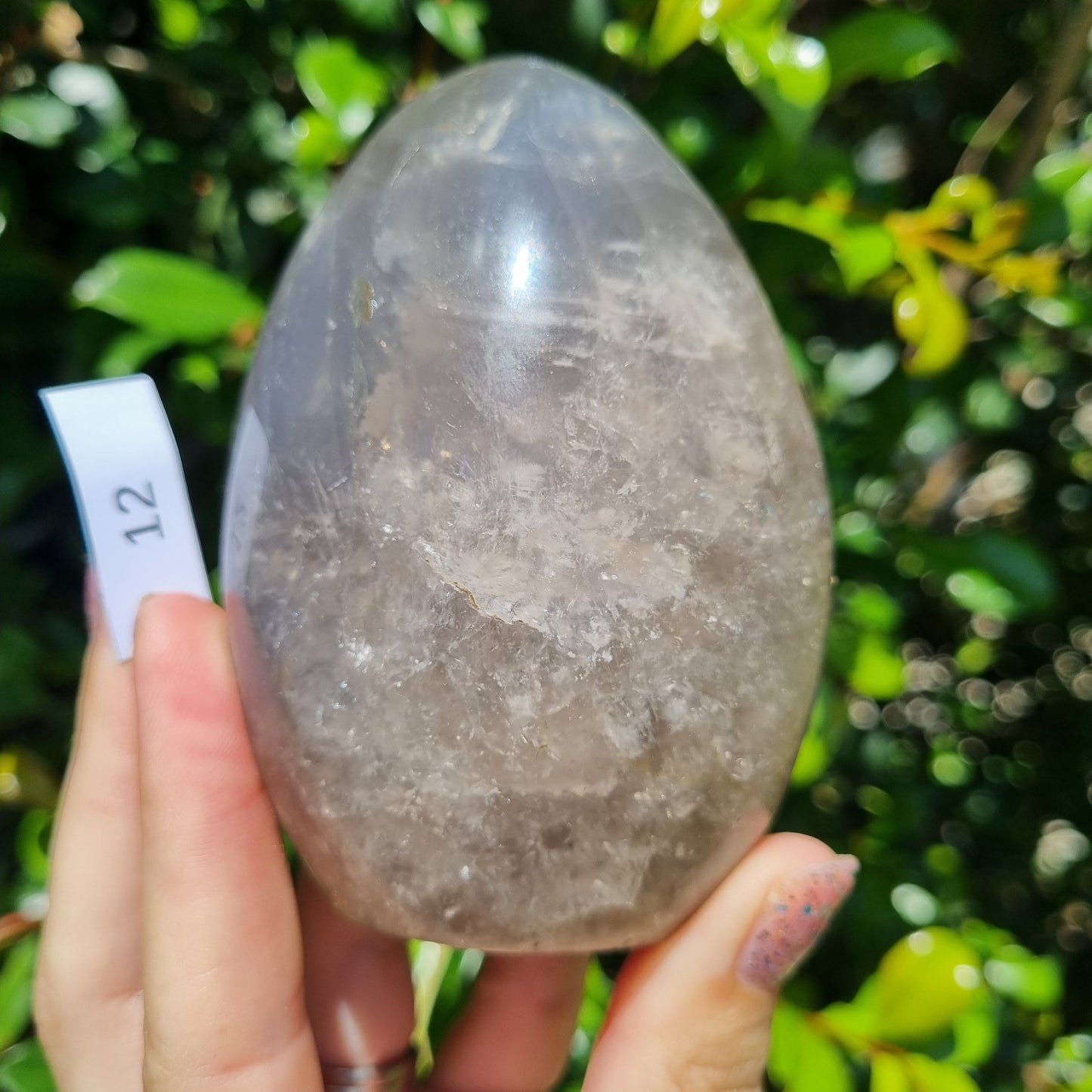 Blue Rose Quartz (Girasol) Freeform