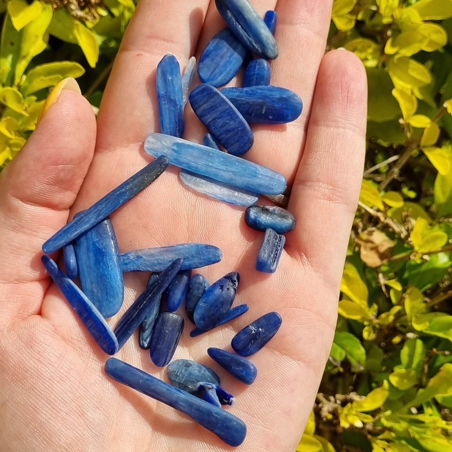 Blue Kyanite Chips | Dyed | 60% Off