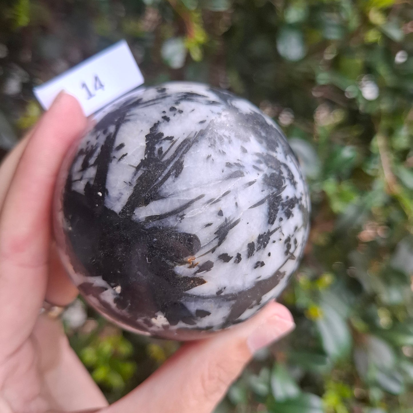 Tourmaline in Quartz Sphere - Madagascar