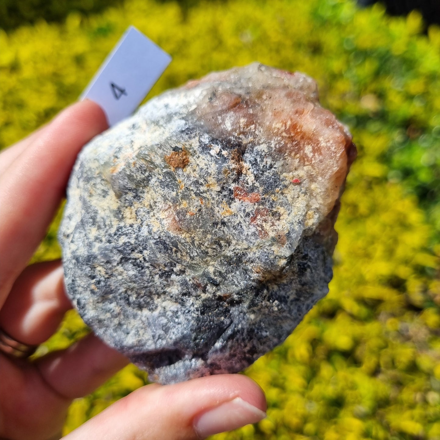 Cordierite Specimen - Madagascar