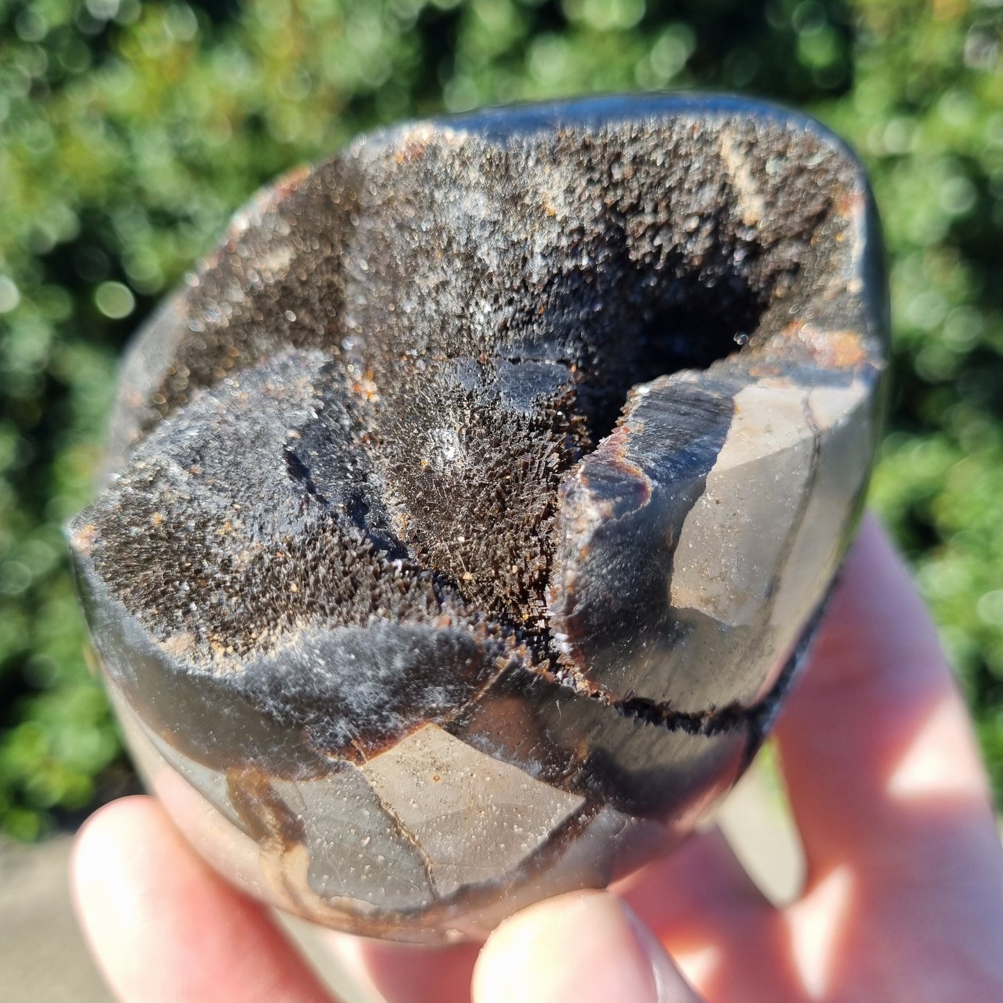 Septarian Dragon Egg - Madagascar - Small Sizes