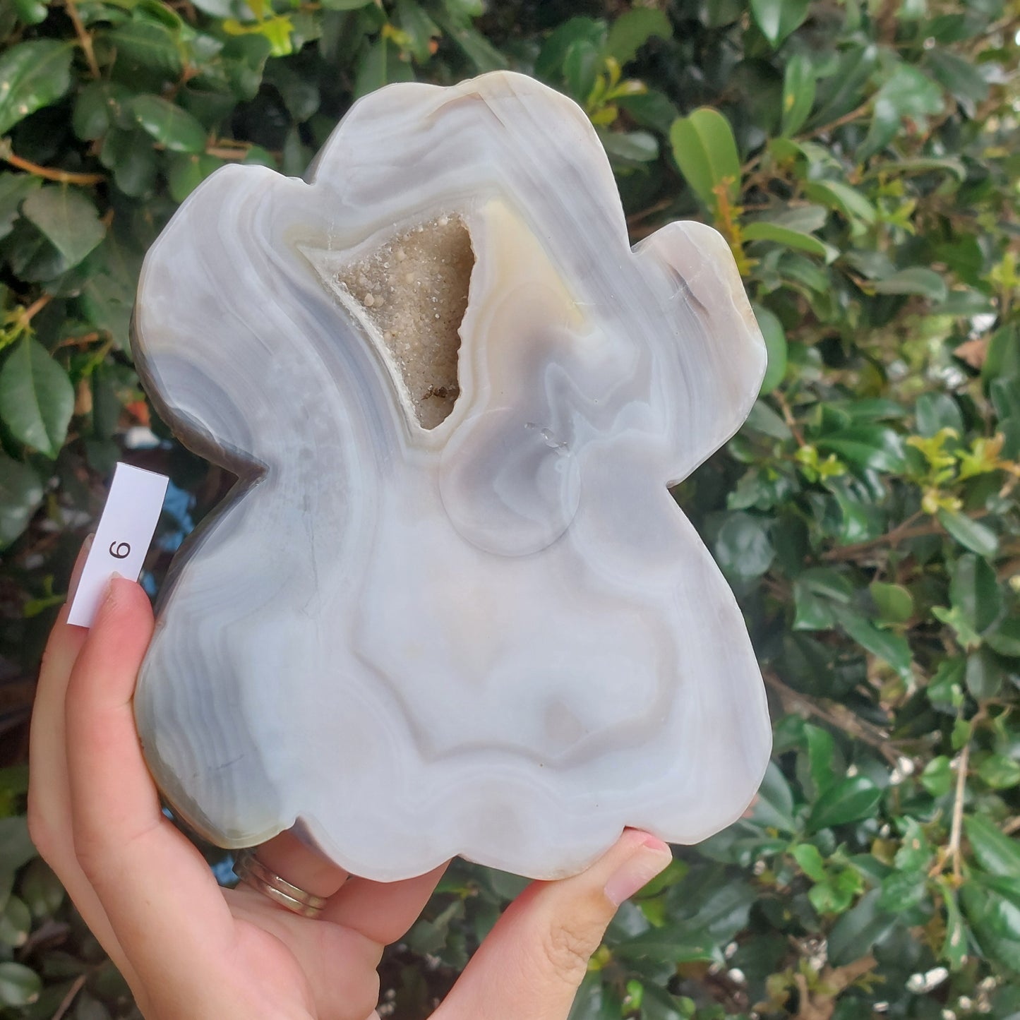 Agate Slices - Random shapes - B+ Grade