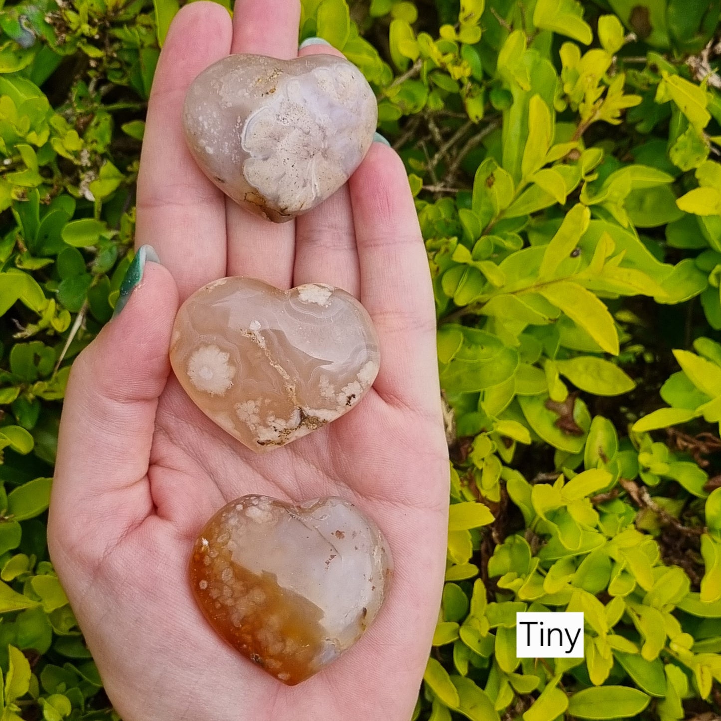 Flower Agate Hearts - Sparrow and Fox