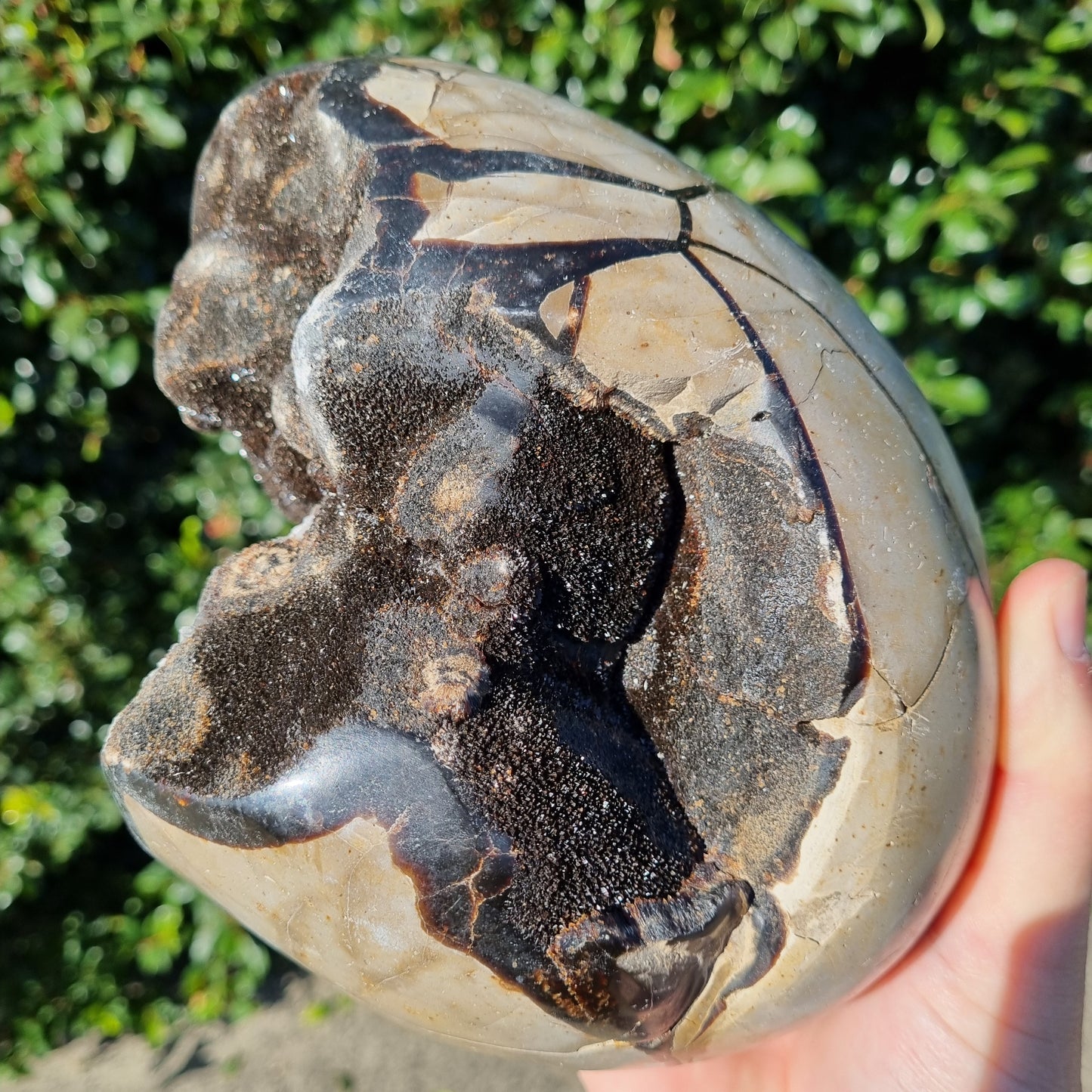 Septarian Dragon Egg - Madagascar - 4.232kg