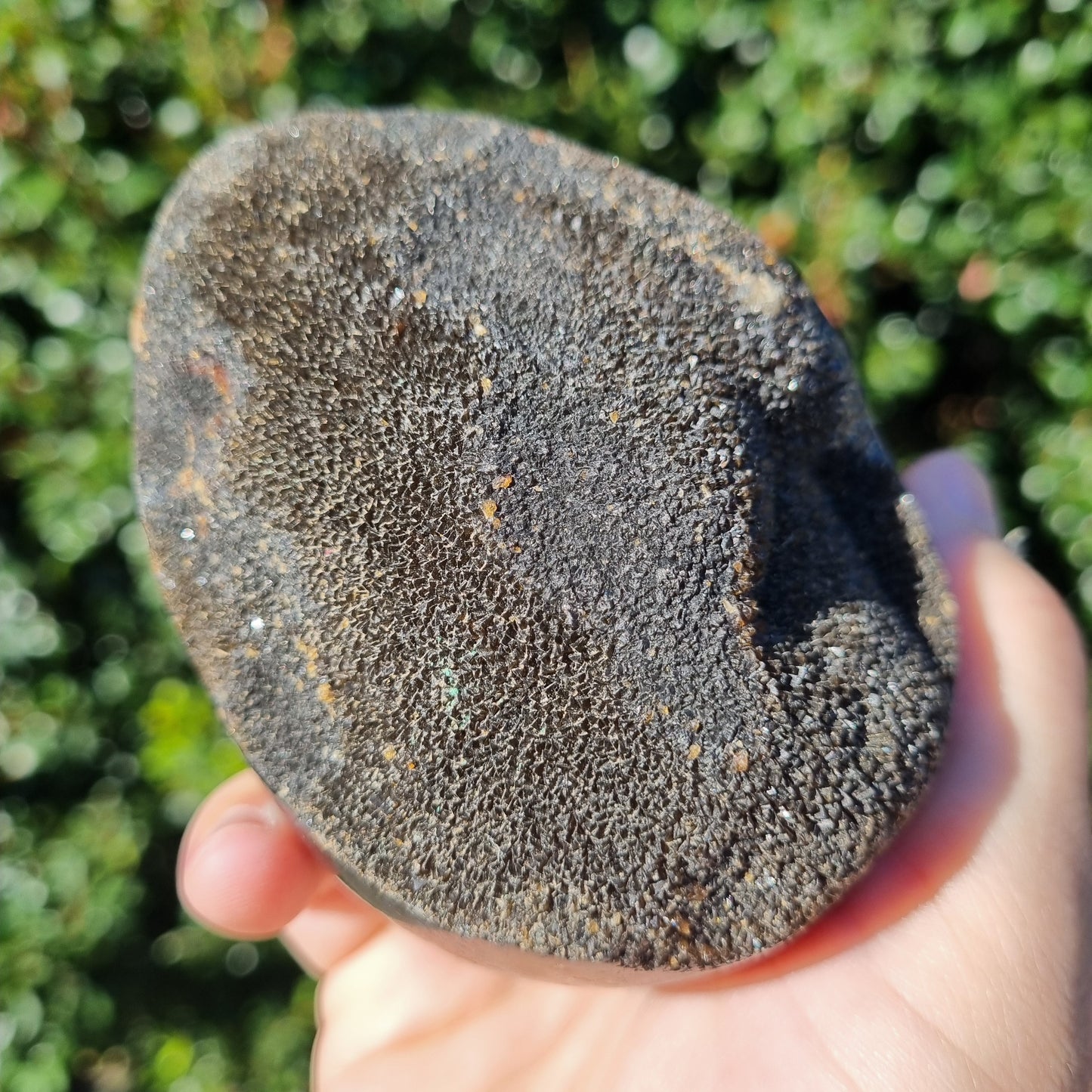 Septarian Dragon Egg - Madagascar - 705g