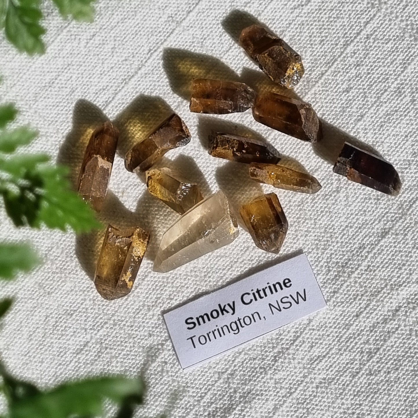 Smoky Citrine Points - Torrington, NSW - 12g