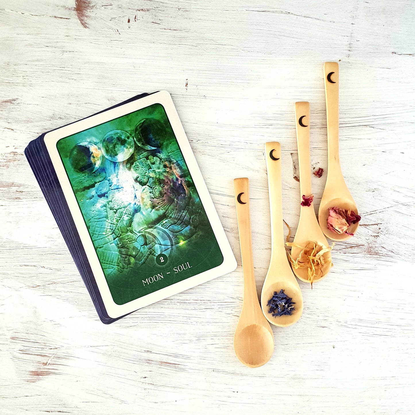 Moon Spoon - Sparrow and Fox