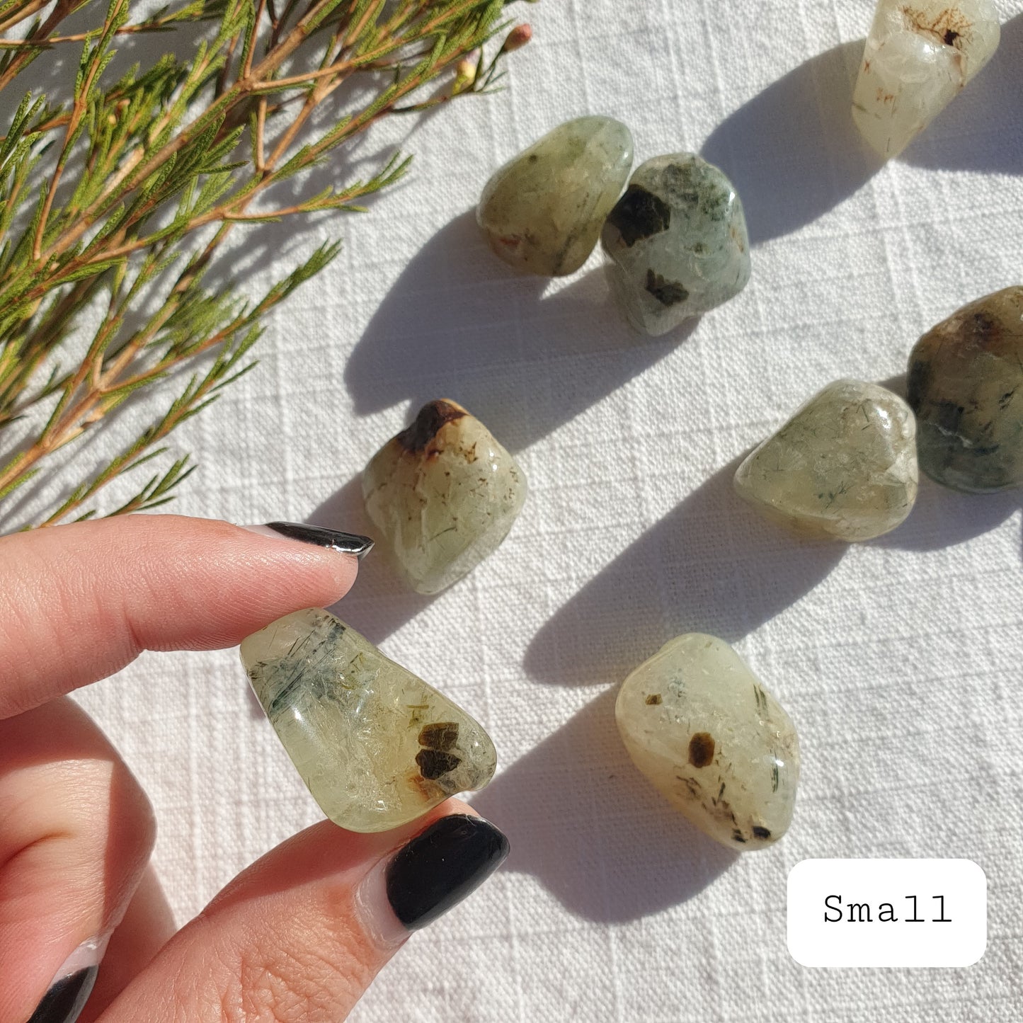 Prehnite Tumble - B Grade - Sparrow and Fox
