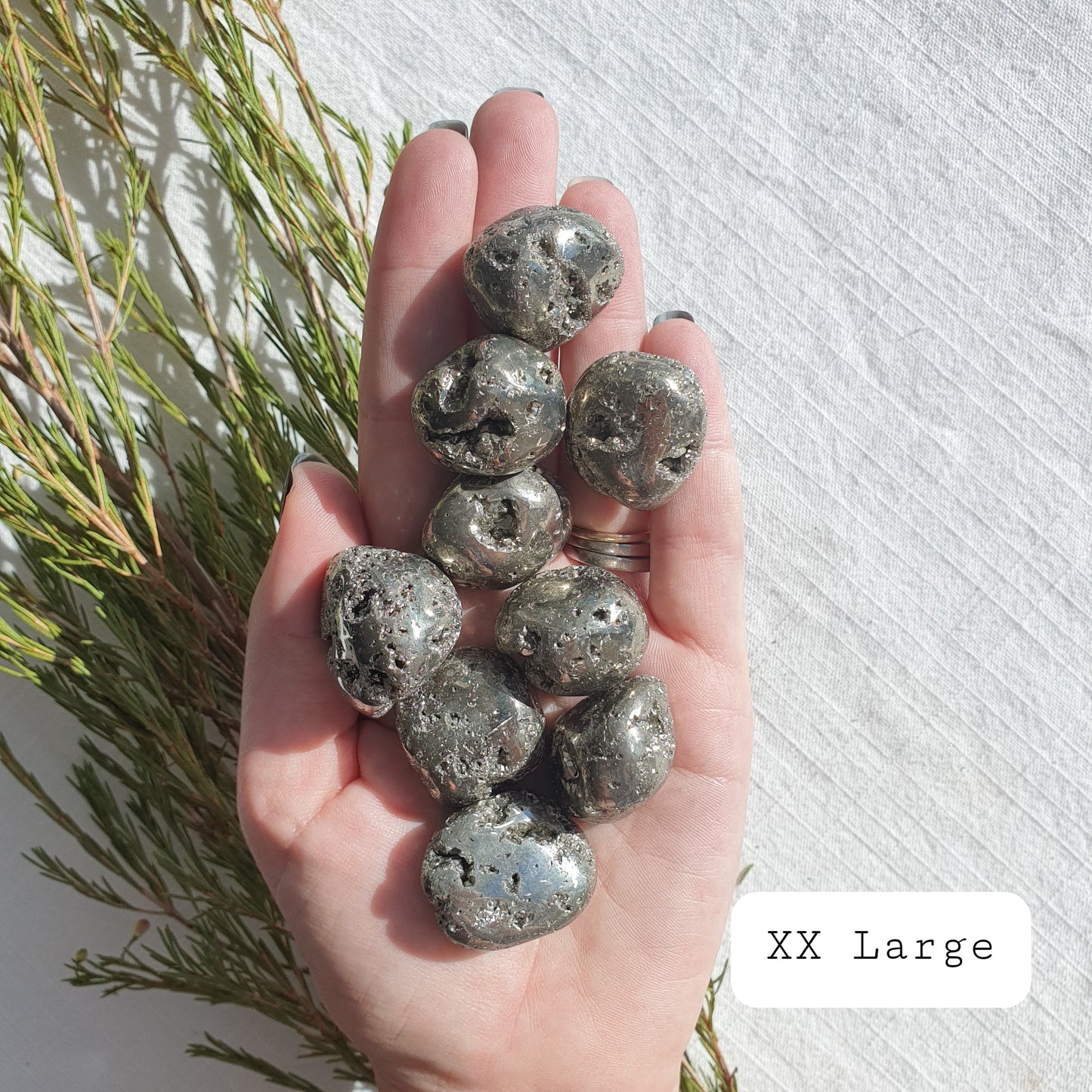 Pyrite Tumble - A grade - Sparrow and Fox