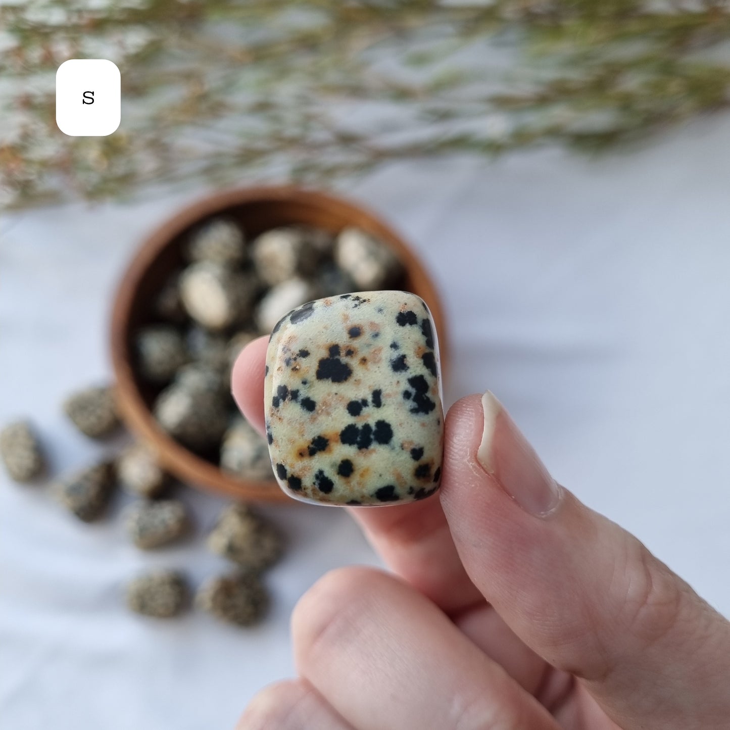 Dalmatian Jasper Tumble - Sparrow and Fox