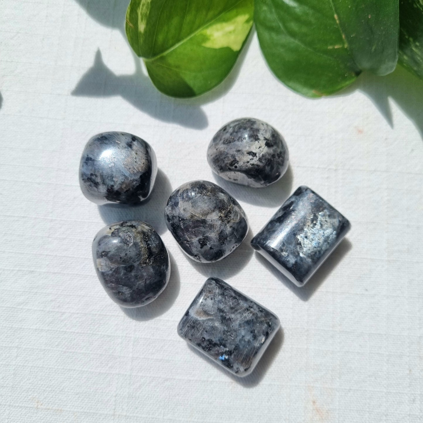 Larvikite Tumble - Sparrow and Fox