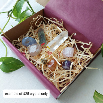 Crystals Only Mystery Box - Sparrow and Fox