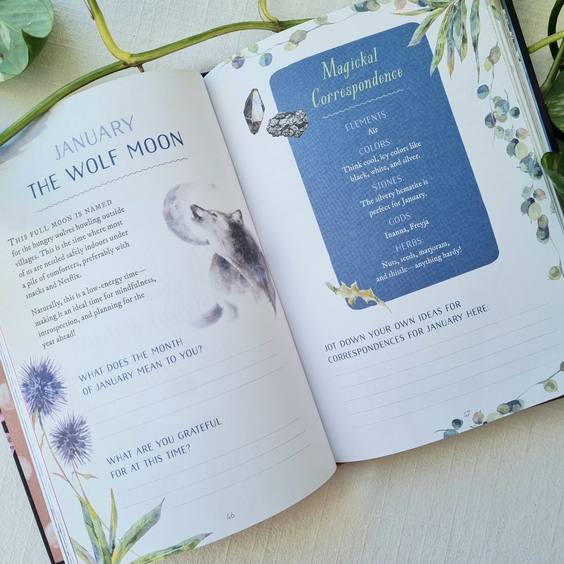 The Mindful Witch -  A Daily Journal for Manifesting a Truly Magickal Life - Sparrow and Fox