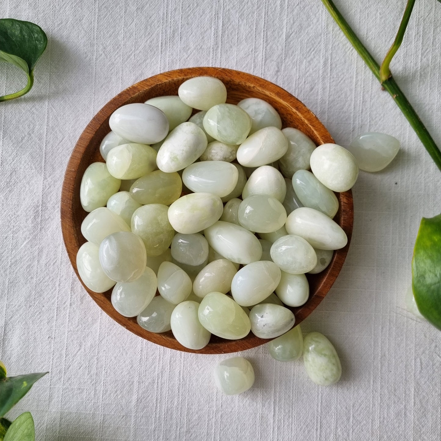 New Jade Tumble - Sparrow and Fox