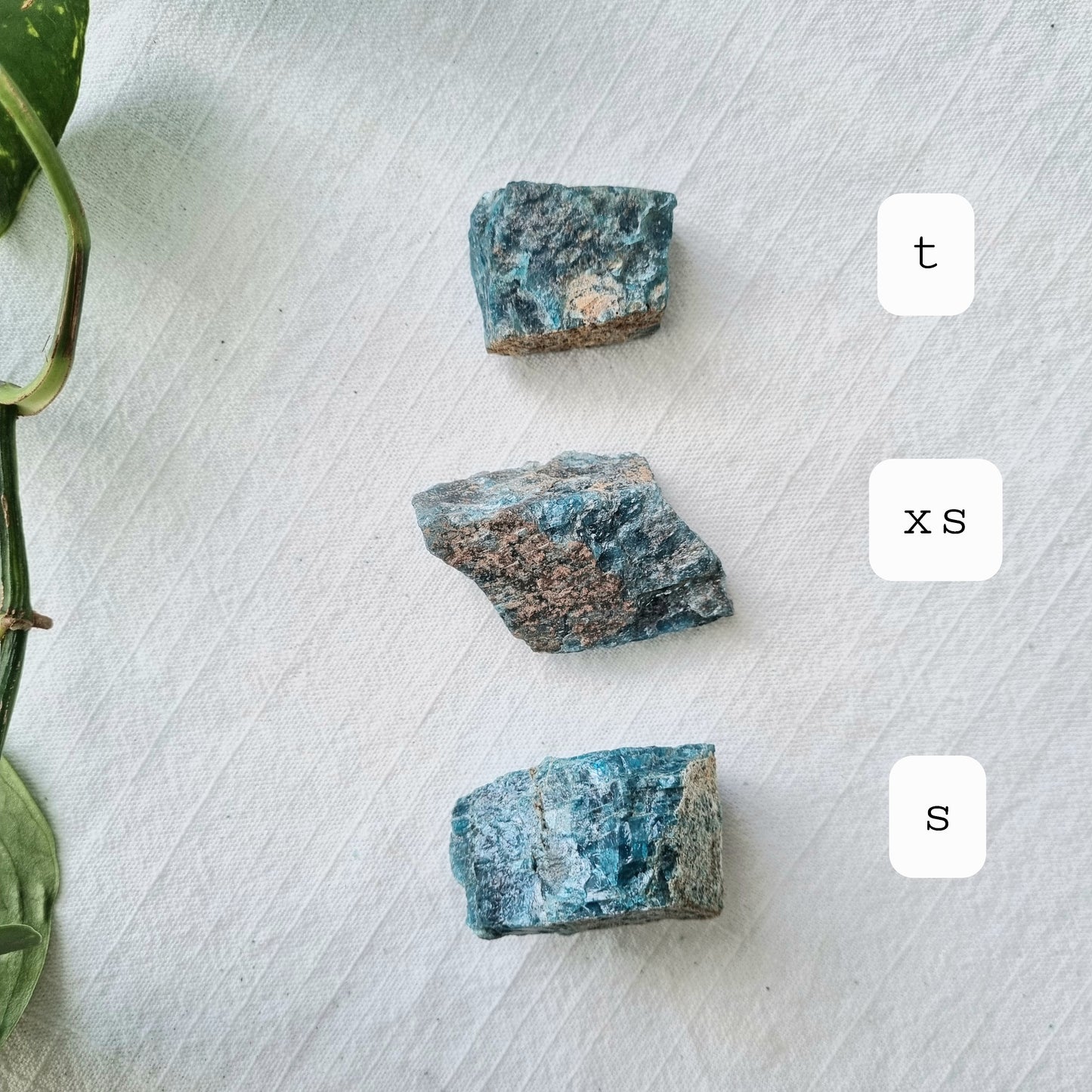 Apatite Raw - Madagascar - Sparrow and Fox