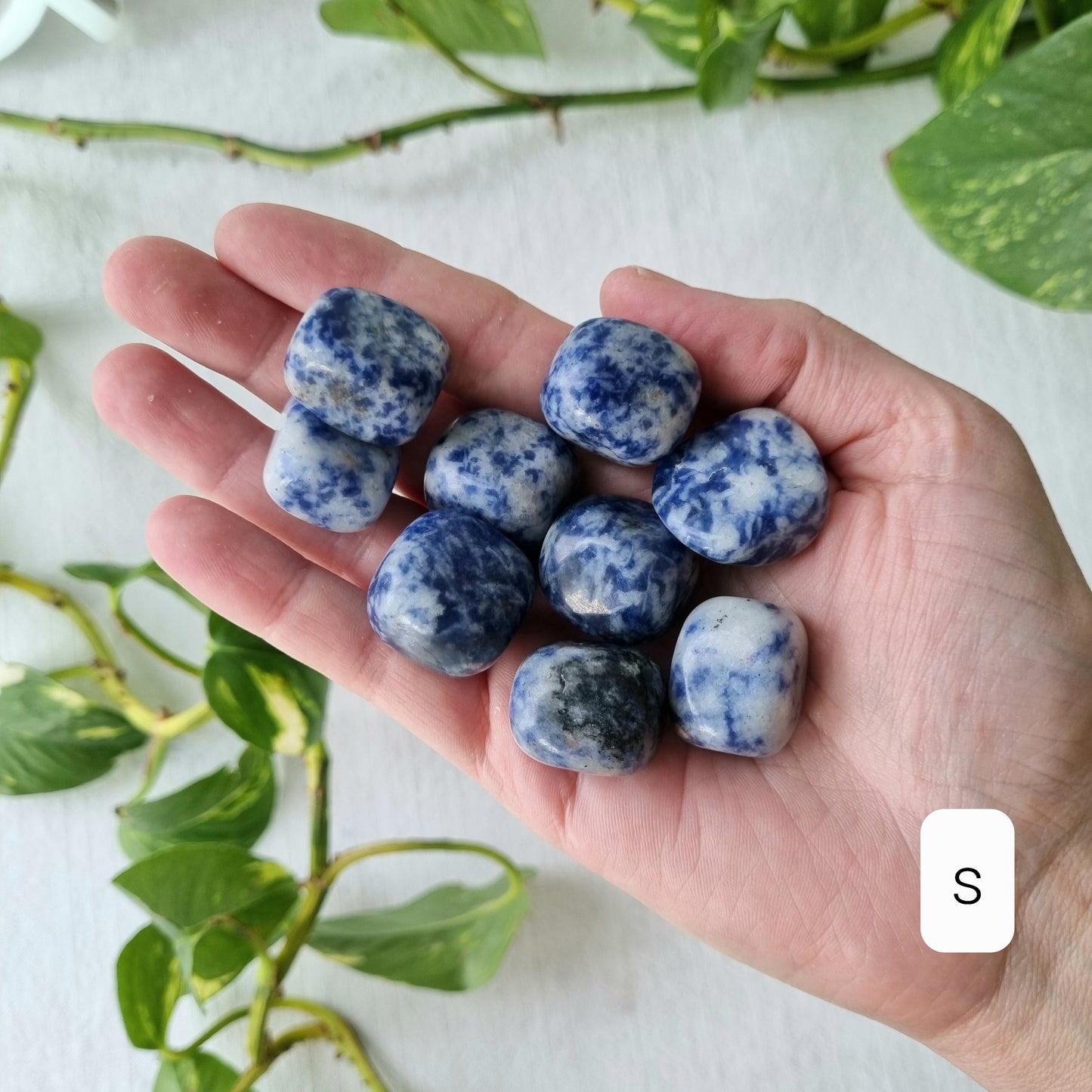 Sodalite Tumble (Spotty) - Sparrow and Fox