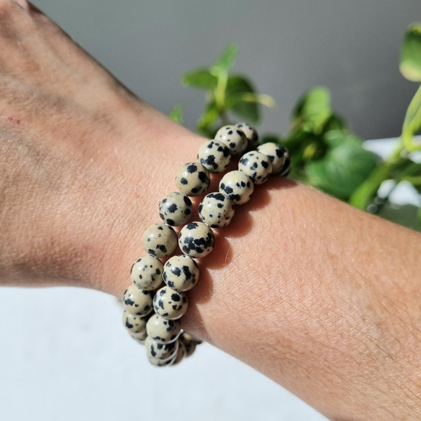 Dalmatian Jasper Round Bead Bracelet - 8mm - Sparrow and Fox