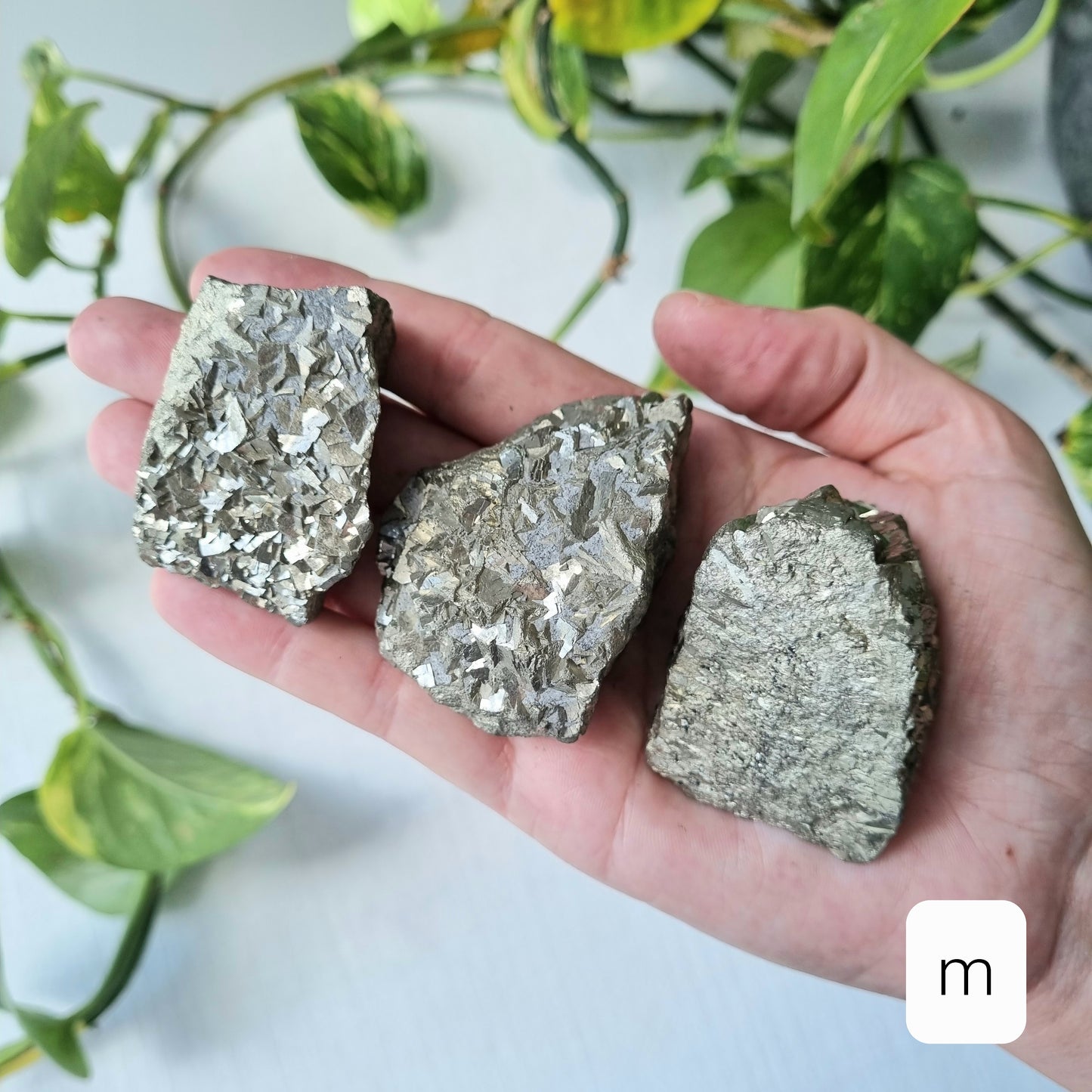 Pyrite Cluster - Sparrow and Fox