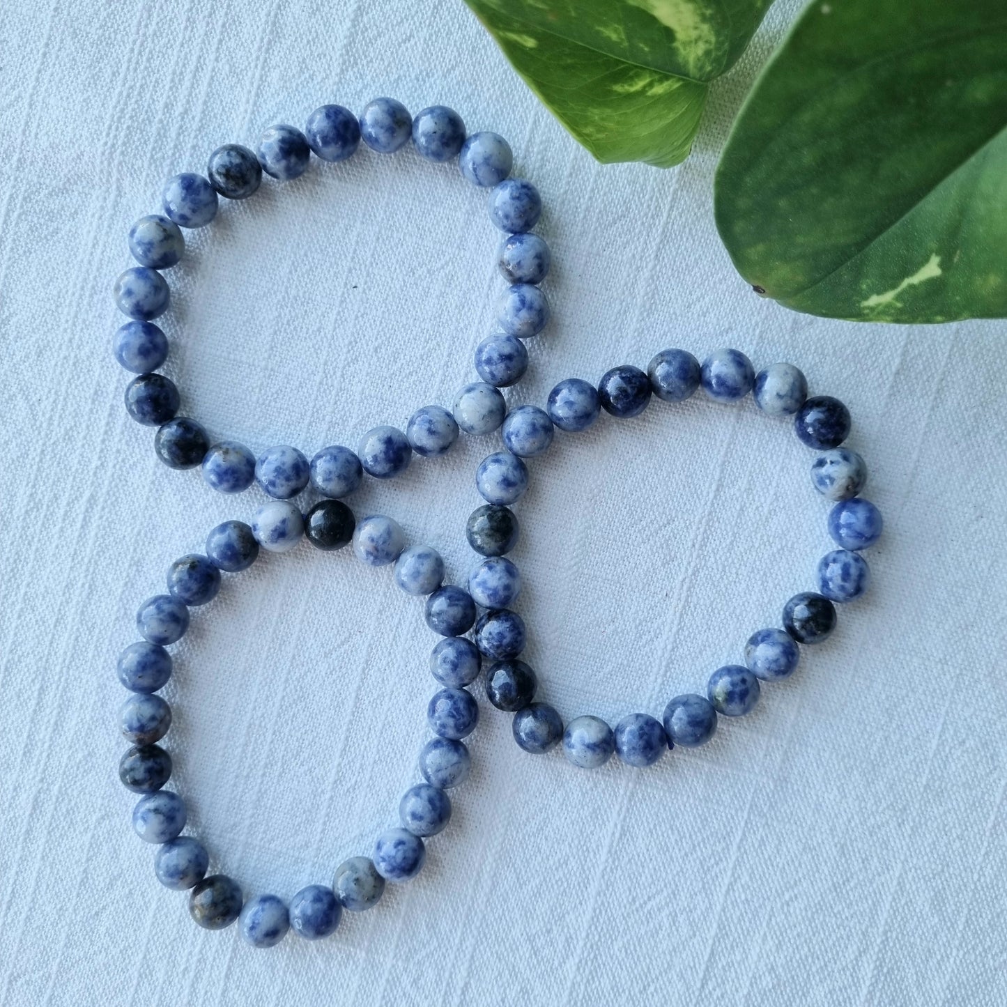 Sodalite Round Bead Bracelet - Spotty - 8mm - Sparrow and Fox