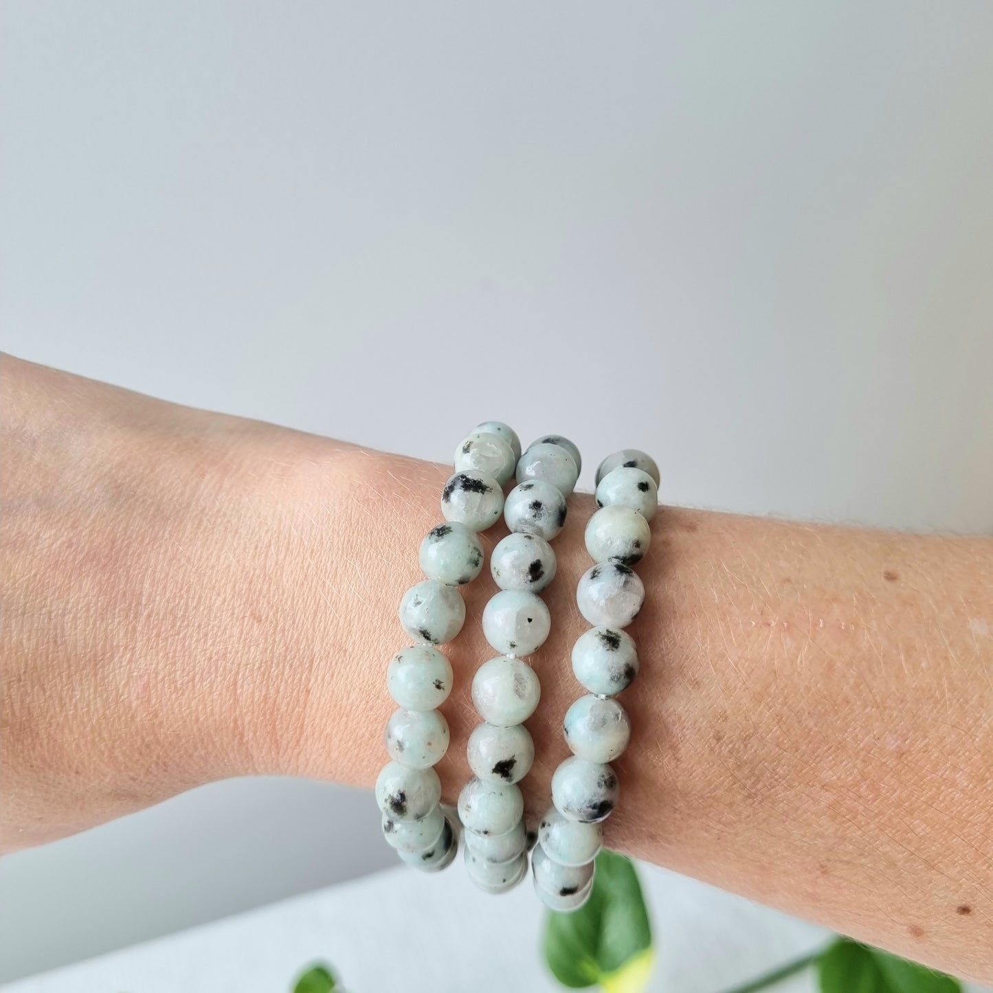 Kiwi Jasper Round Bead Bracelet - 8mm - Sparrow and Fox