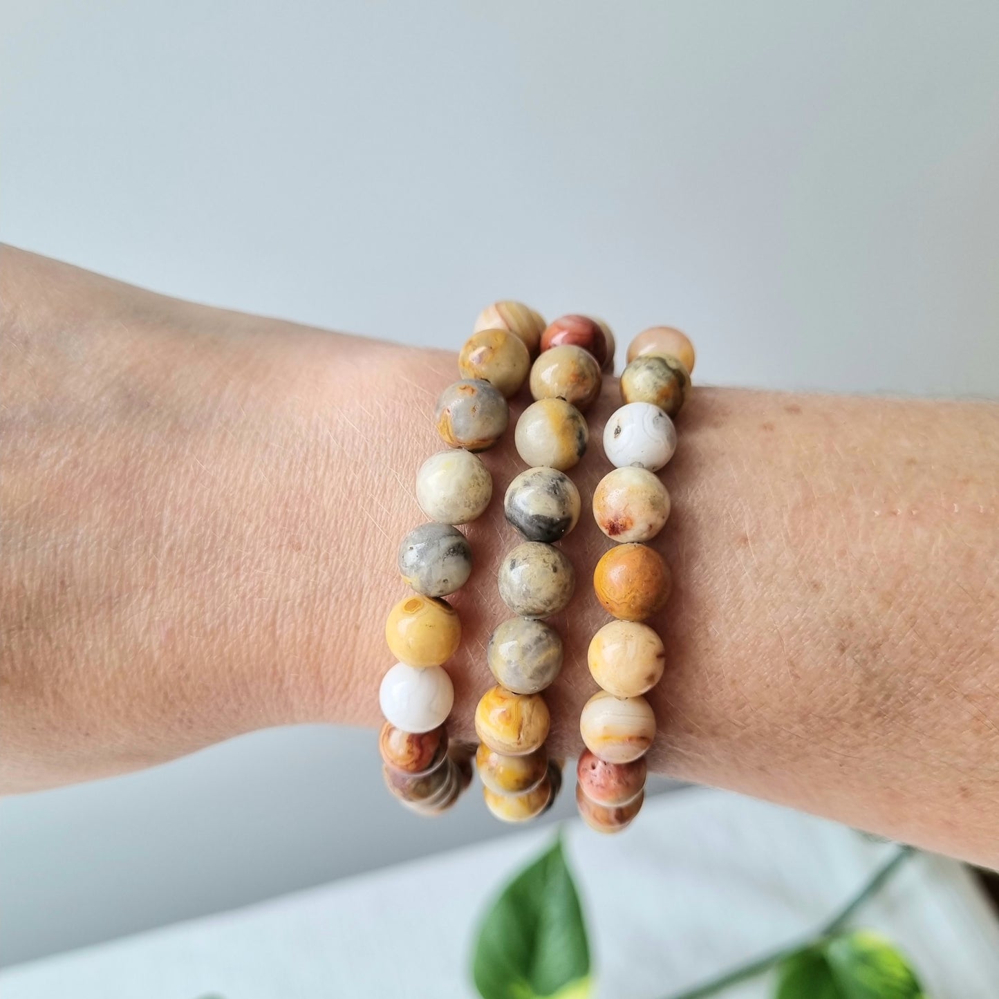 Crazy Lace Agate Round Bead Bracelet - 8mm - Sparrow and Fox