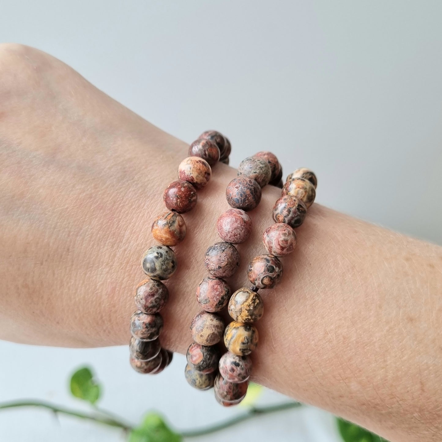 Leopard Skin Jasper Round Bead Bracelet - 8mm - Sparrow and Fox