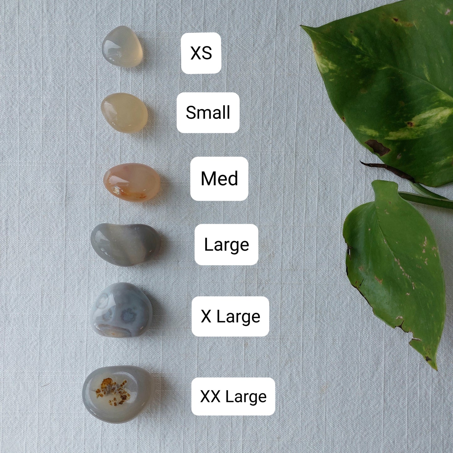 Natural Mixed Agate Tumble - Sparrow and Fox